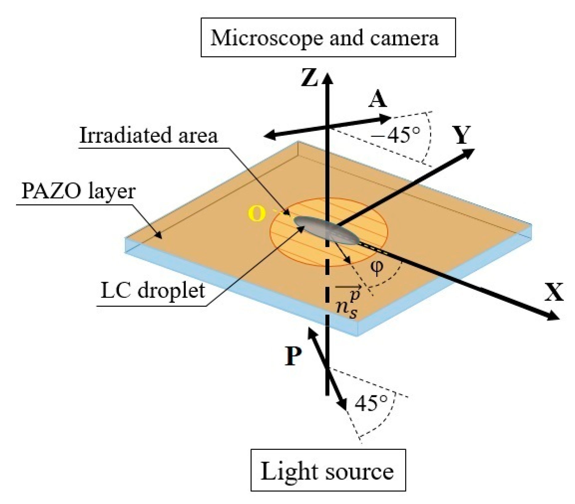 Symmetry 15 00722 g008
