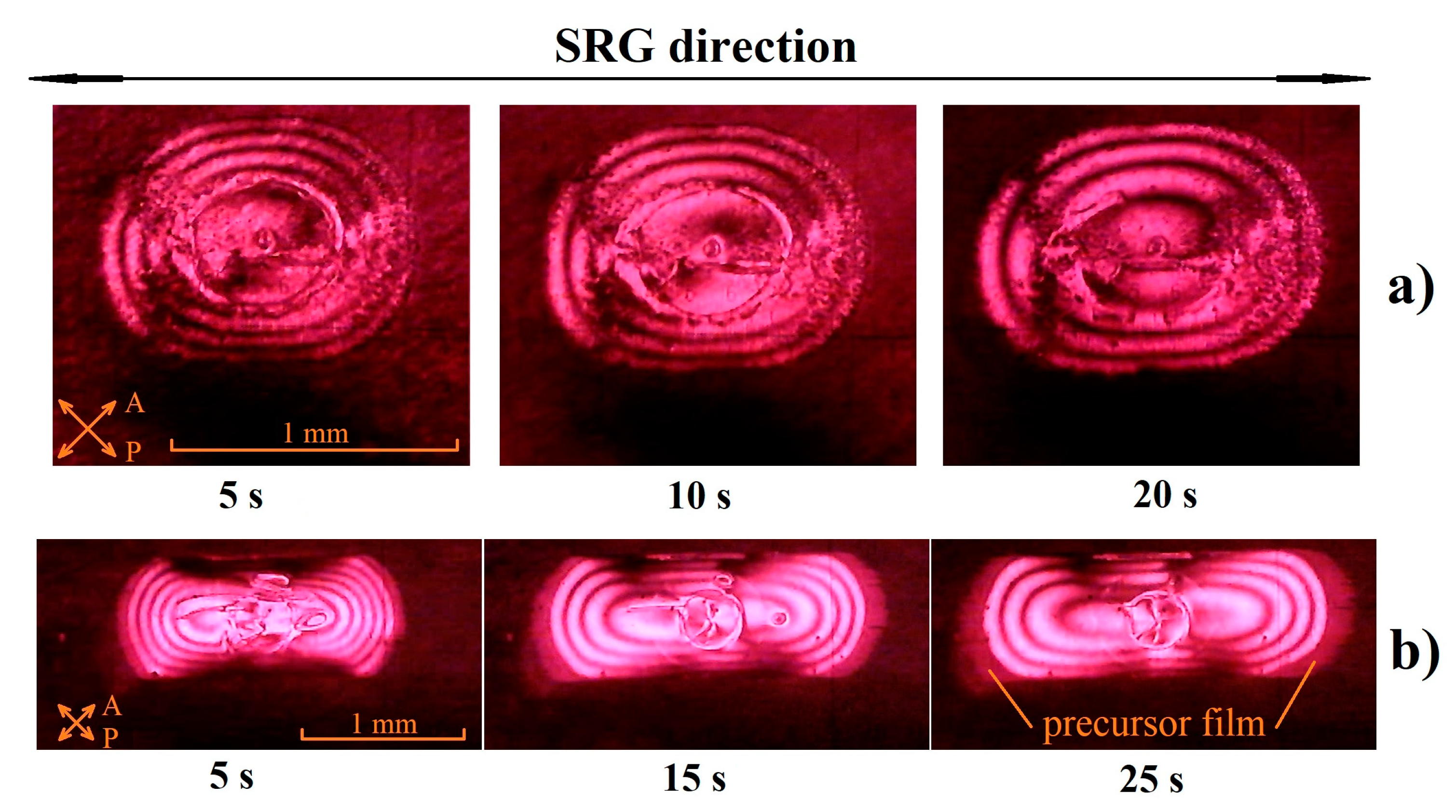 Symmetry 15 00722 g010