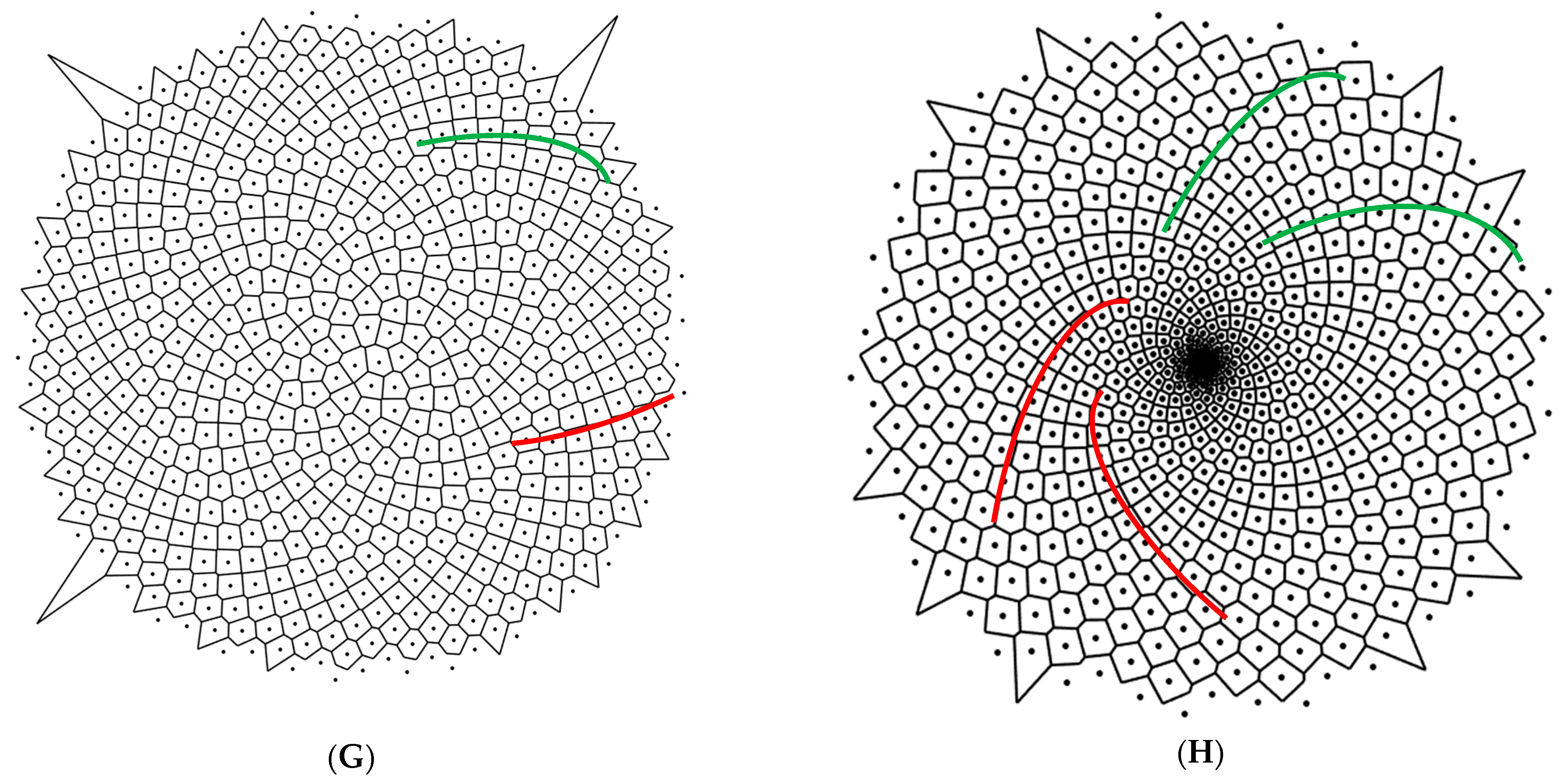 Symmetry 15 00746 g002b