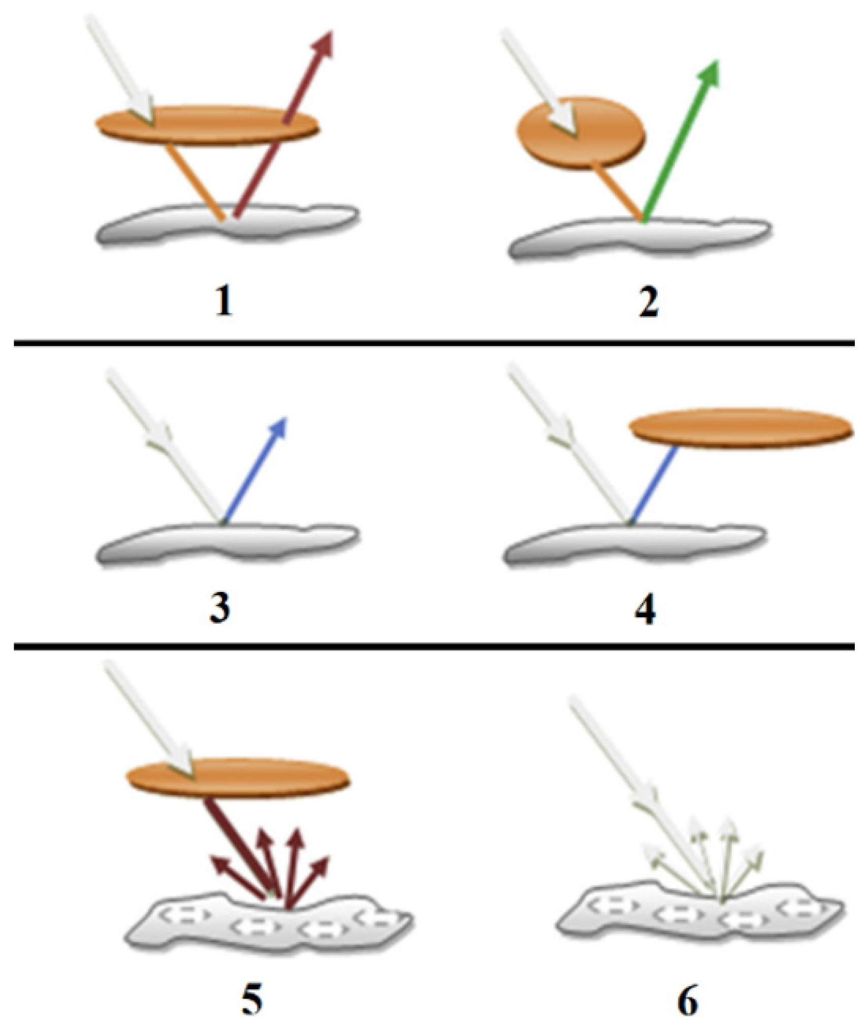 Symmetry 15 00764 g002