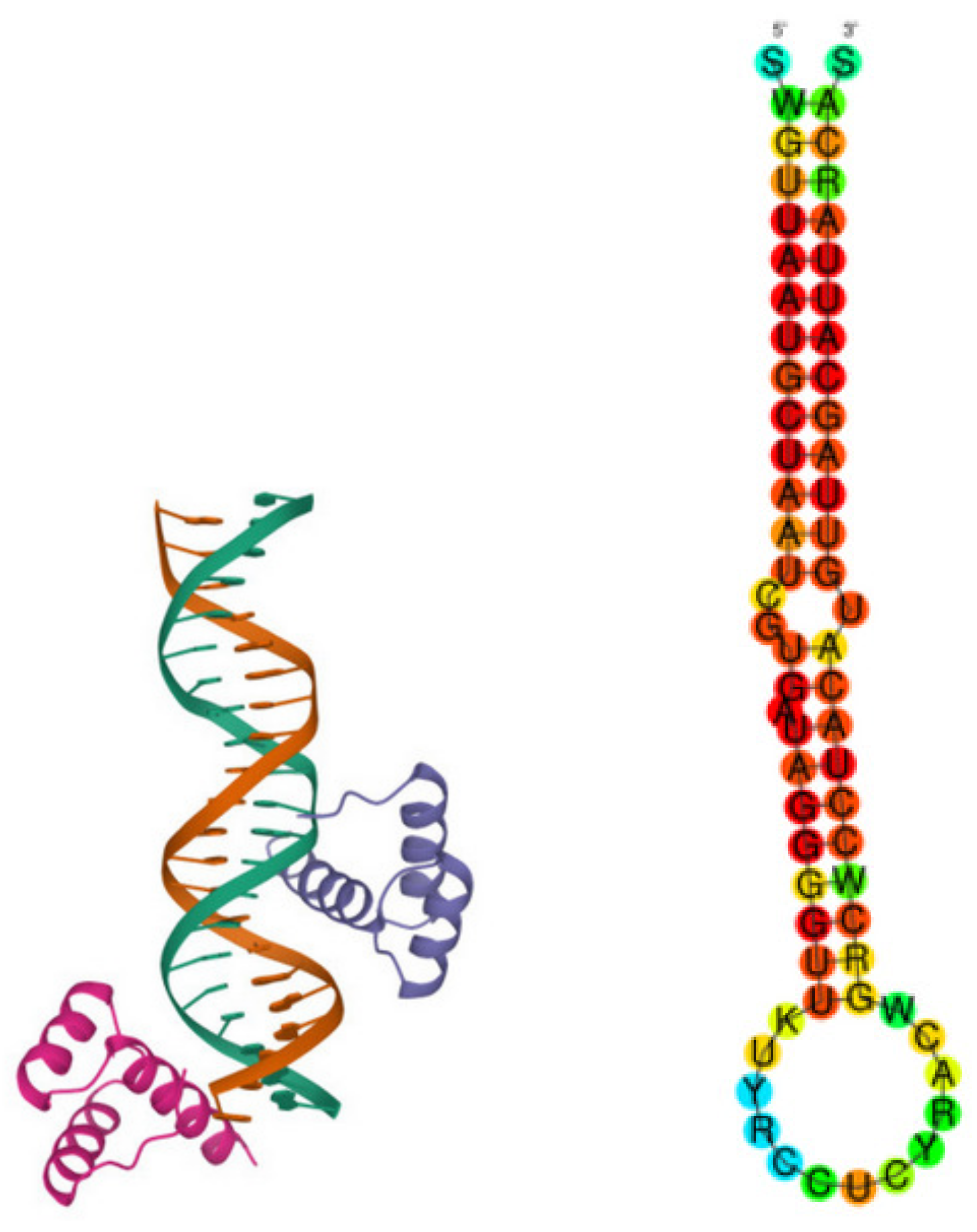 Symmetry 15 00770 g001