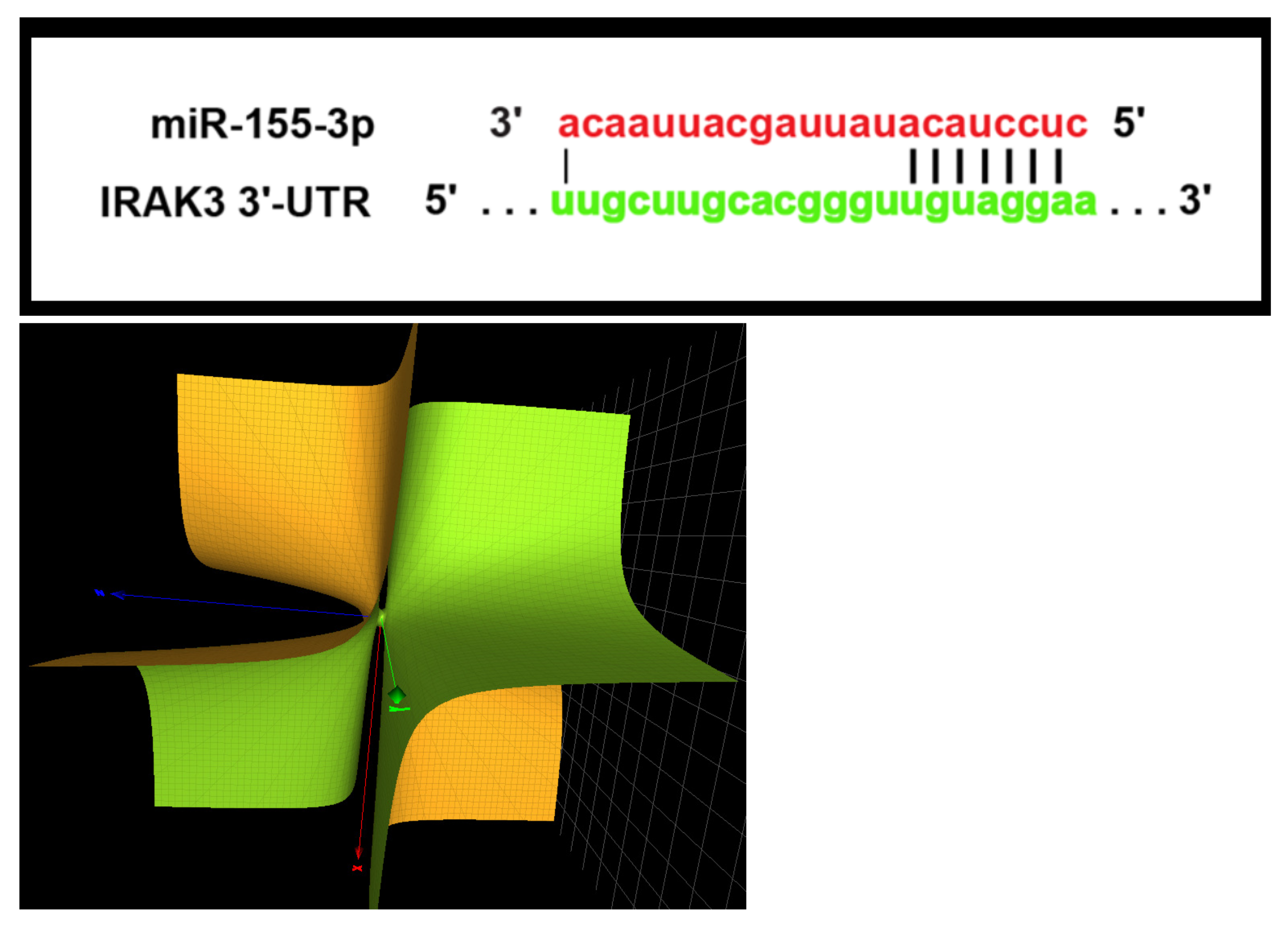 Symmetry 15 00770 g002