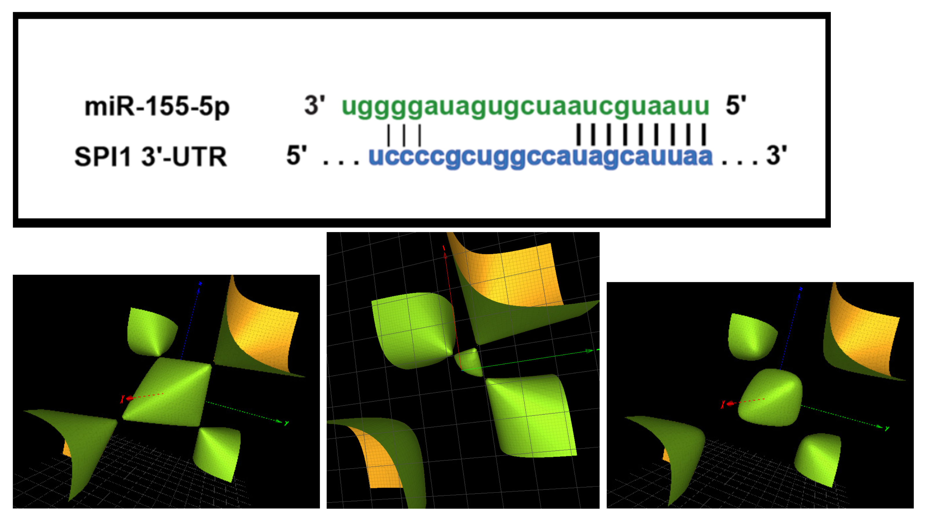 Symmetry 15 00770 g005