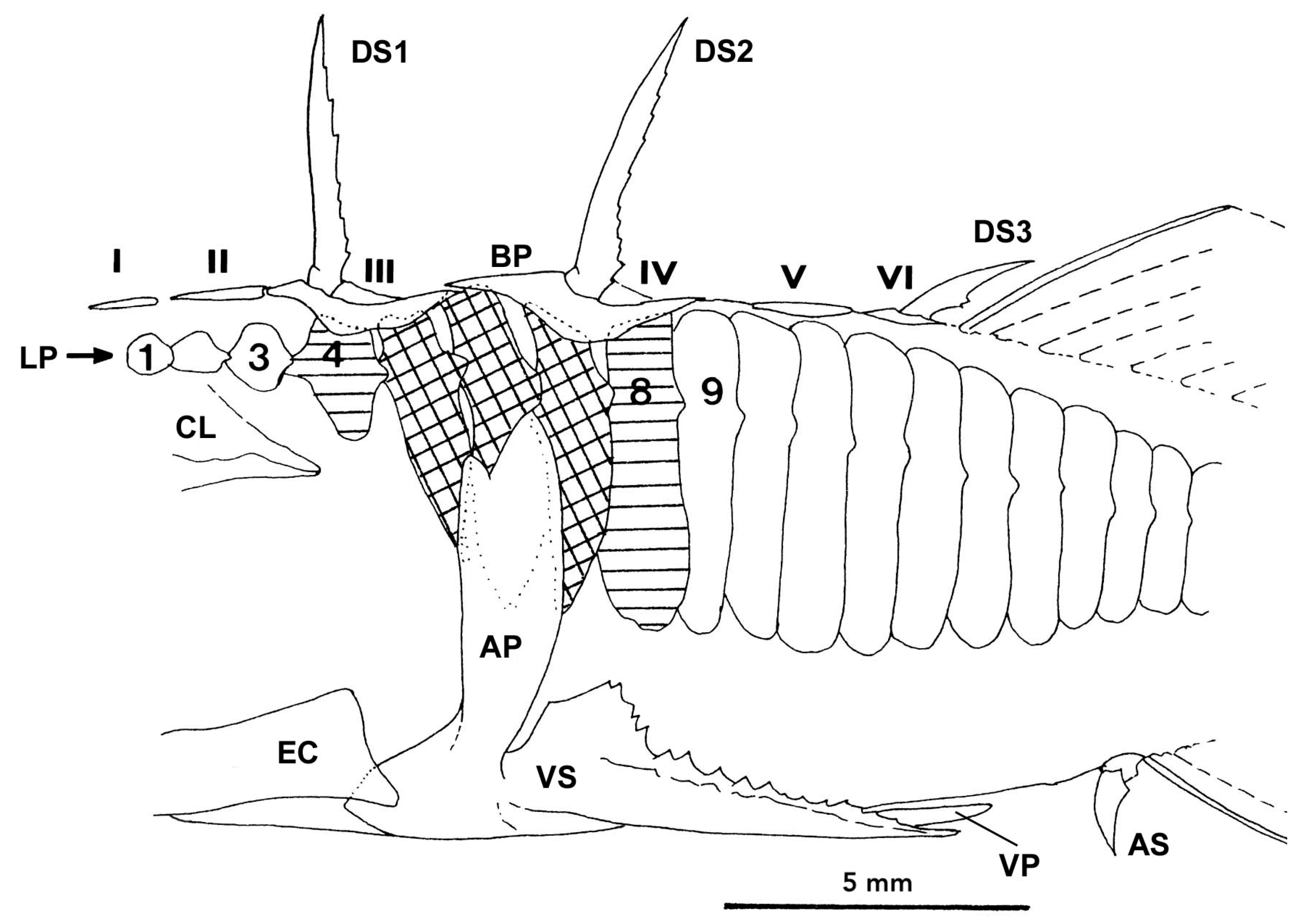 Symmetry 15 00811 g001 Symmetry 15 00811 g001