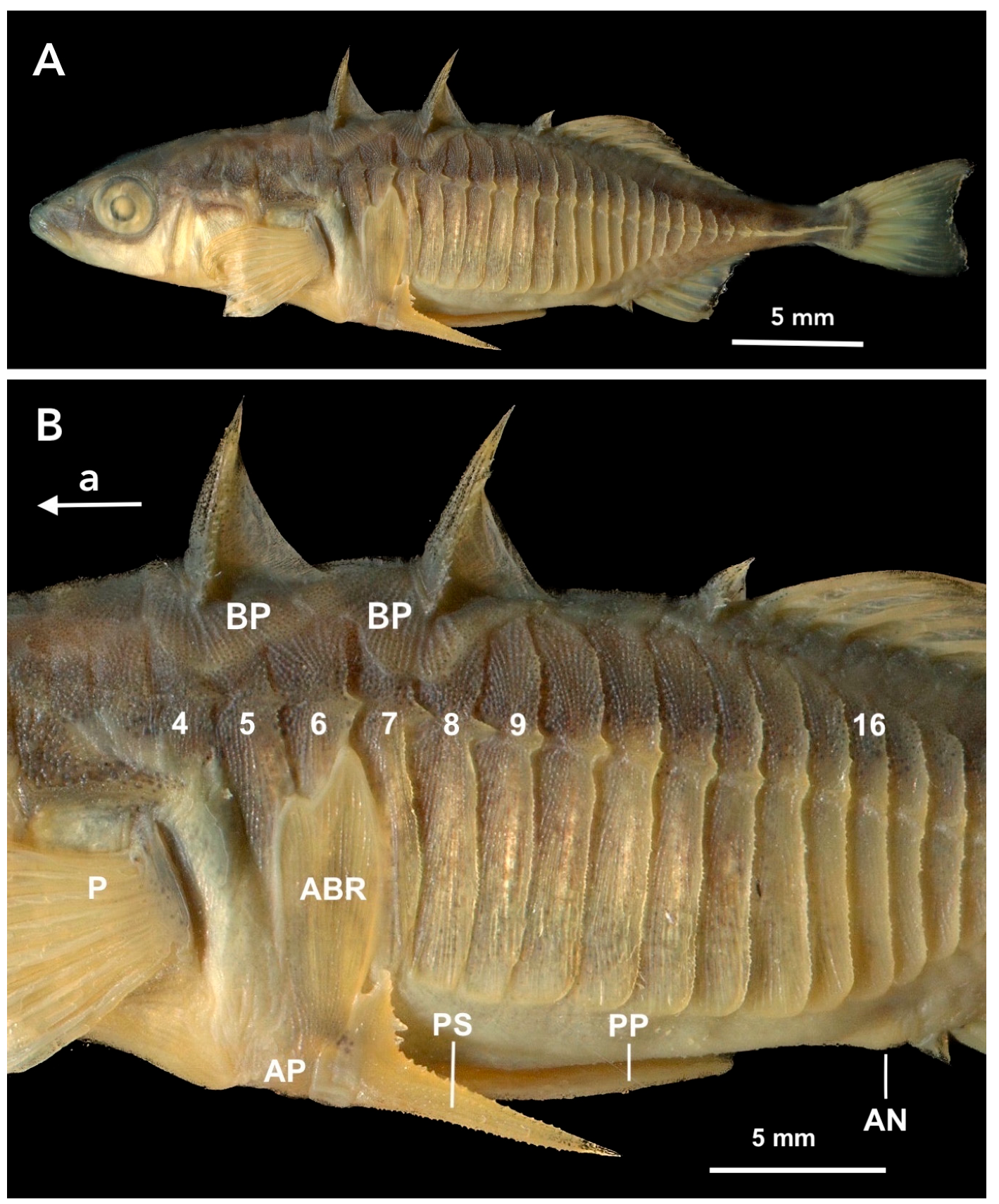 Symmetry 15 00811 g002 Symmetry 15 00811 g002