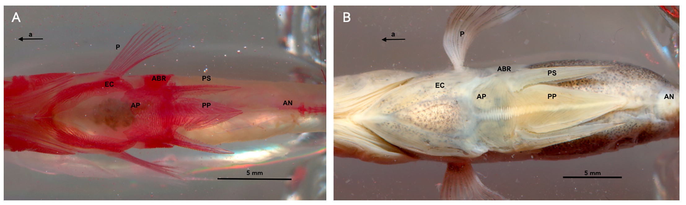 Symmetry 15 00811 g003 Symmetry 15 00811 g003