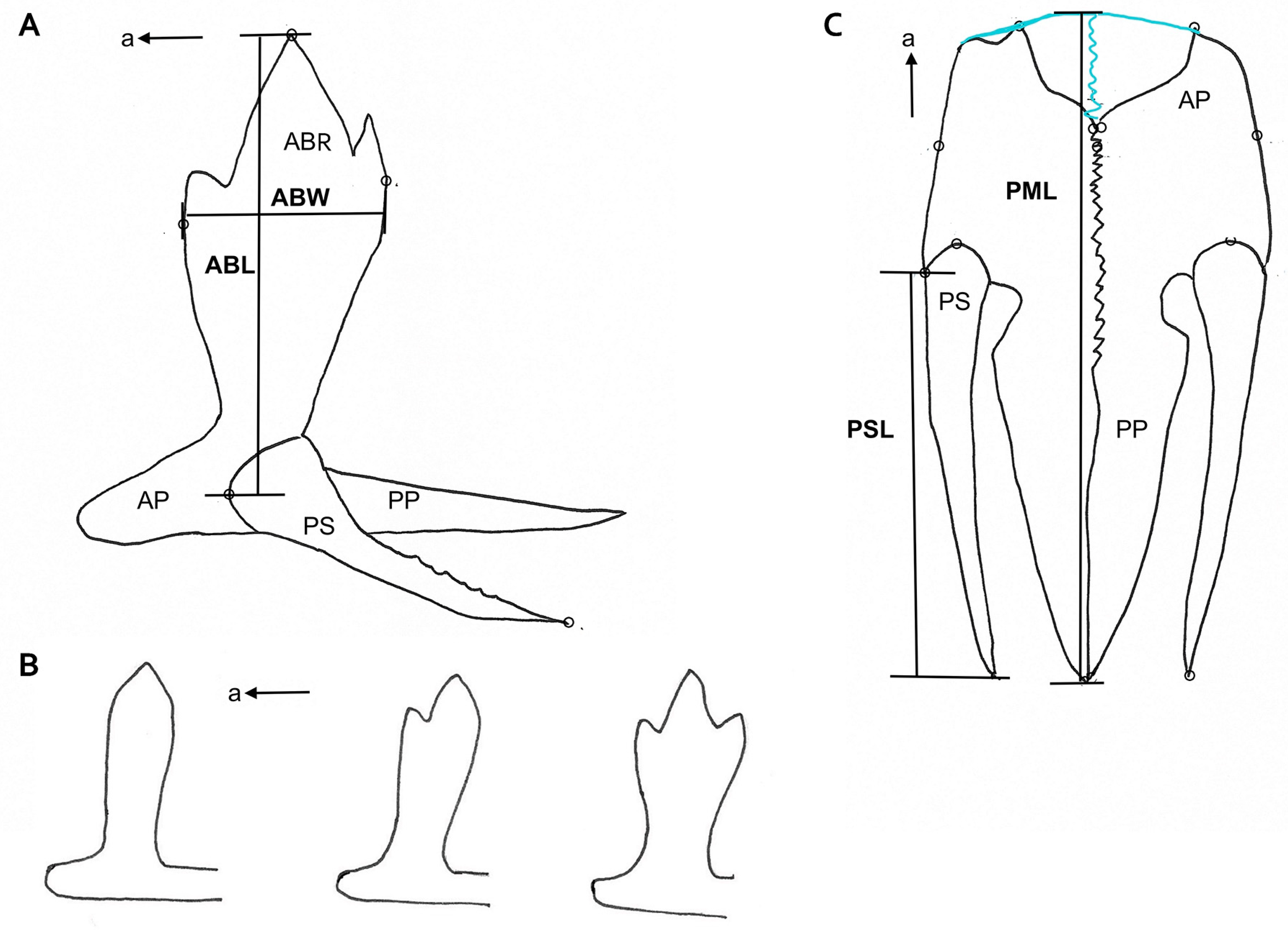 Symmetry 15 00811 g004 Symmetry 15 00811 g004