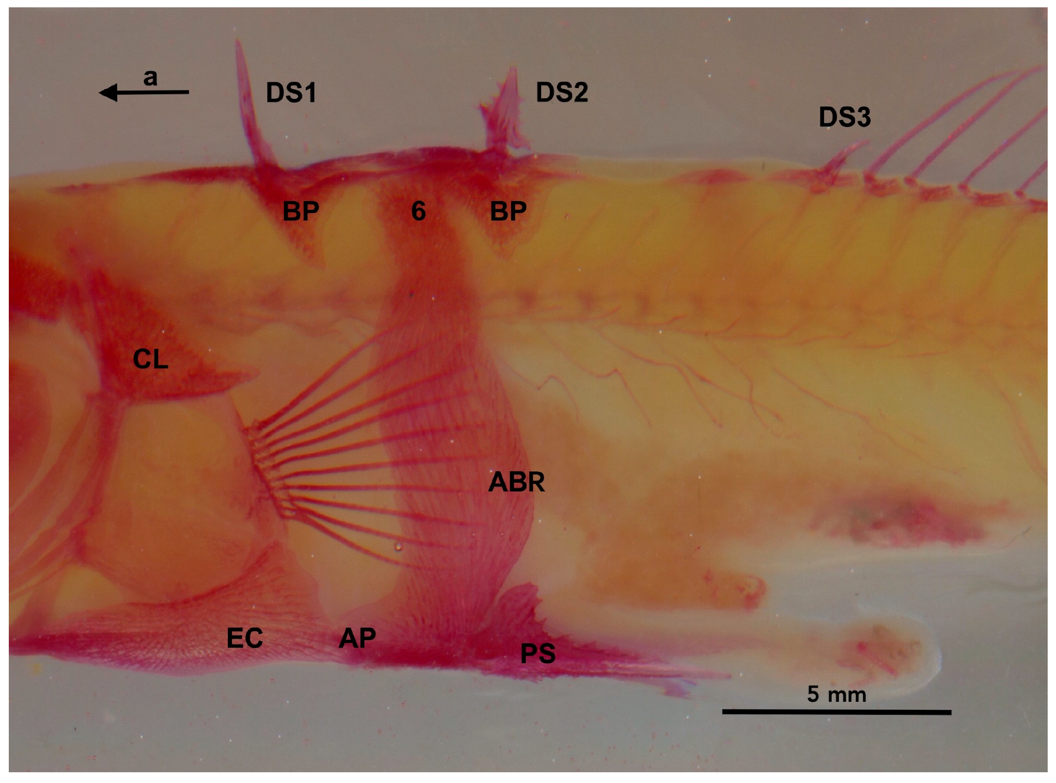 Symmetry 15 00811 g010 Symmetry 15 00811 g010