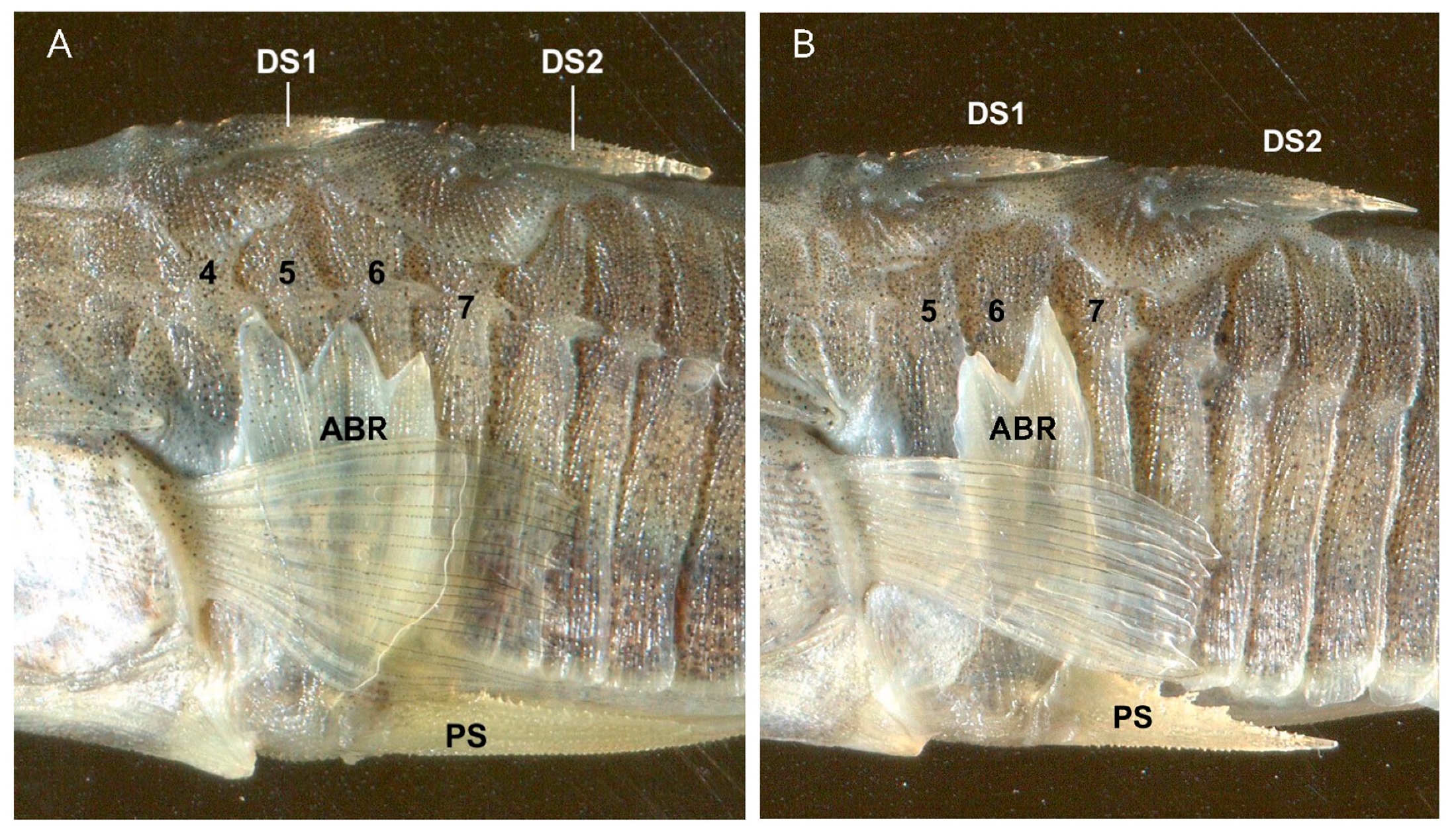 Symmetry 15 00811 g013 Symmetry 15 00811 g013