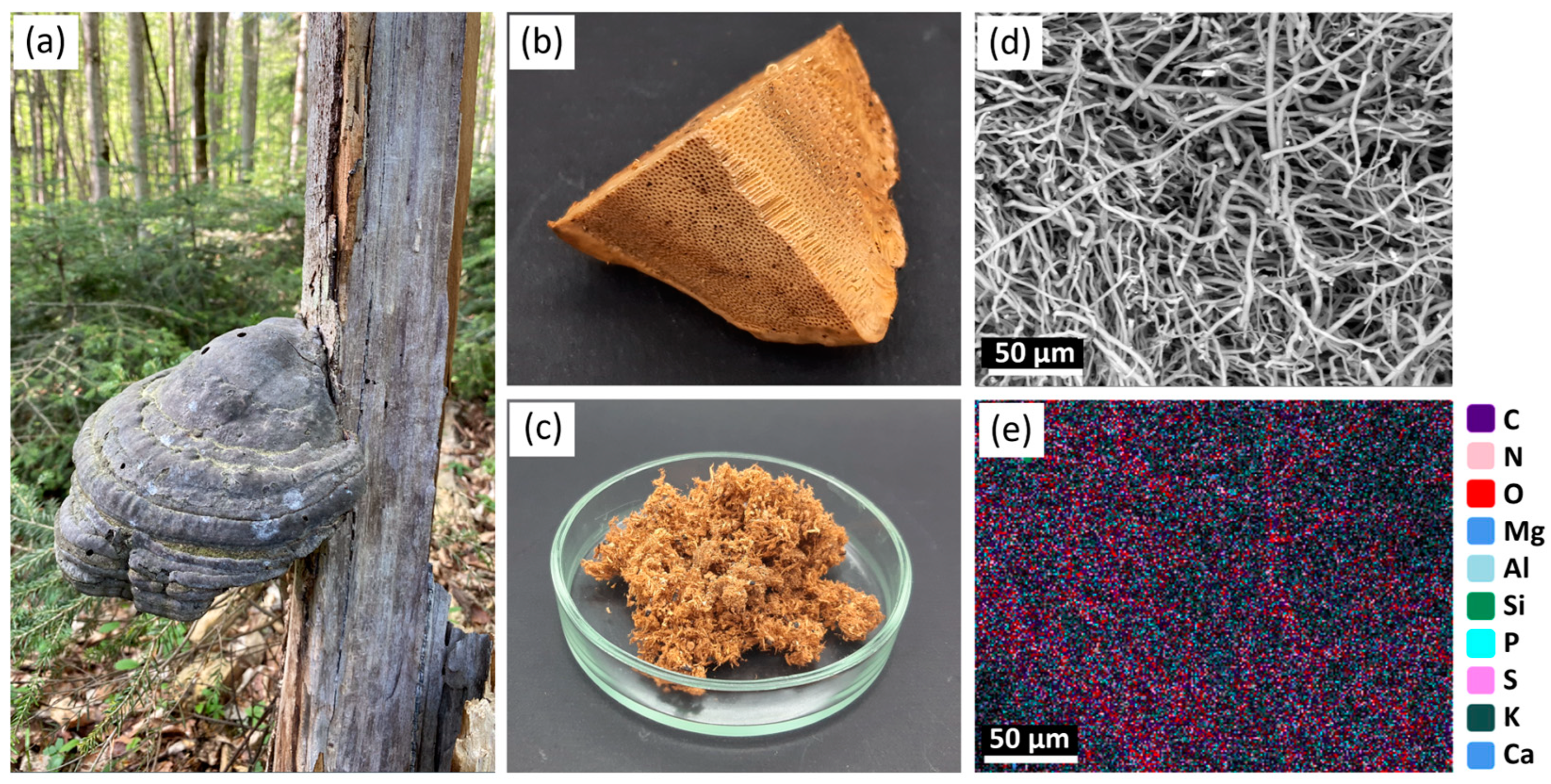 Symmetry 15 00846 g001 Symmetry 15 00846 g001