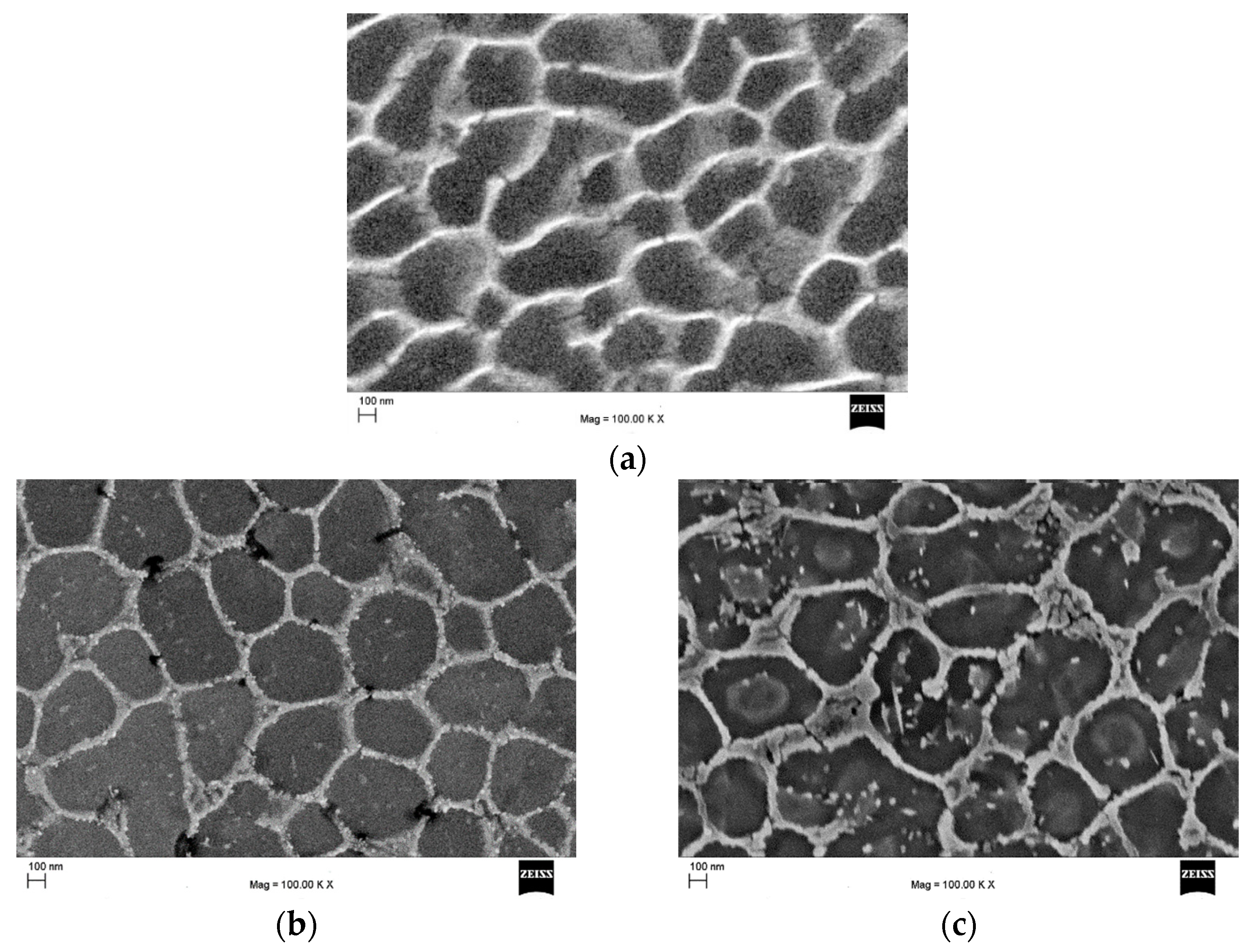 Symmetry 15 00860 g001