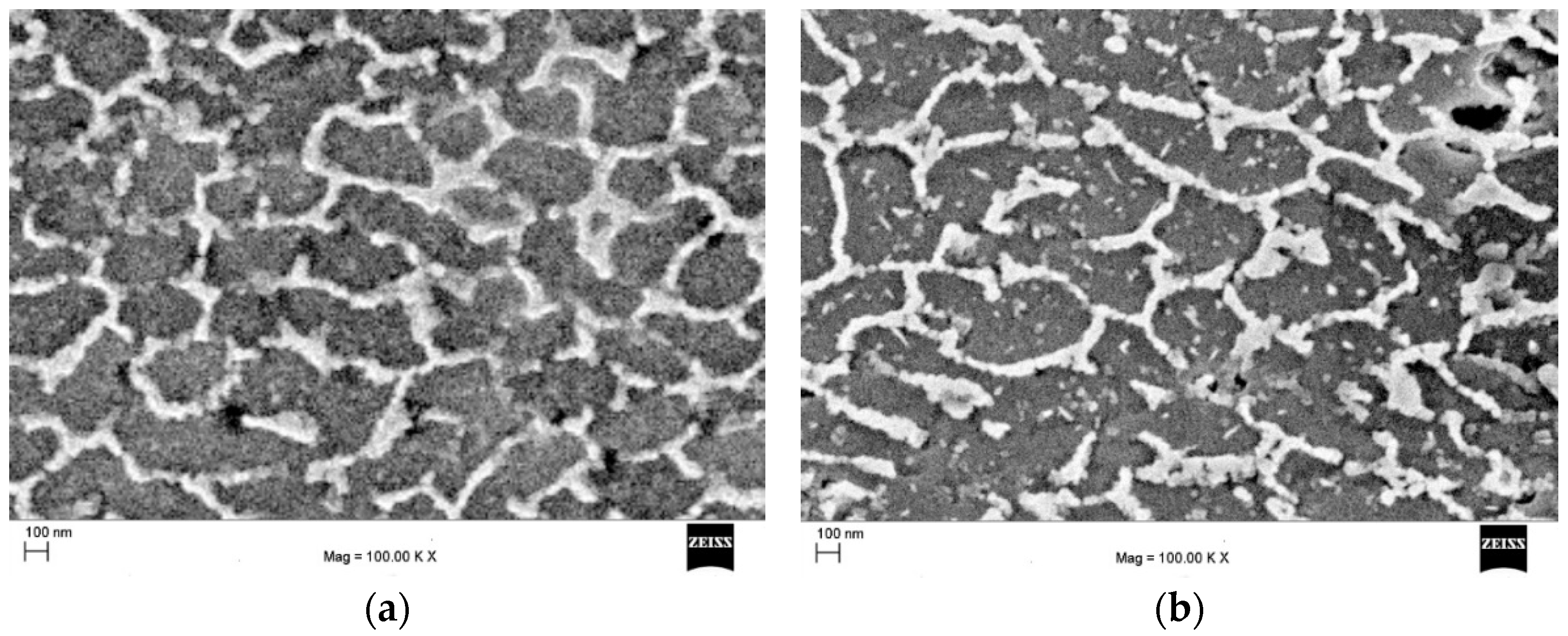 Symmetry 15 00860 g002