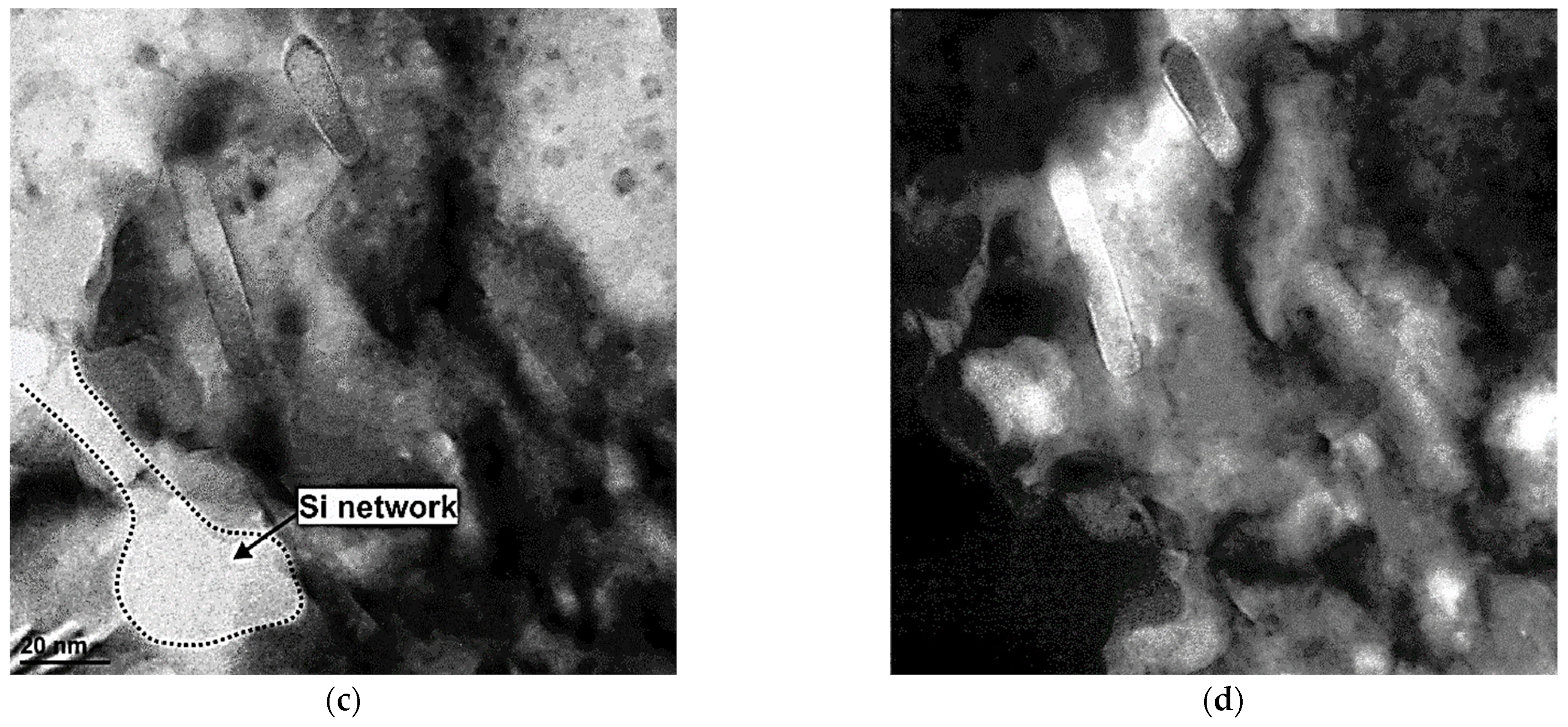 Symmetry 15 00860 g004b