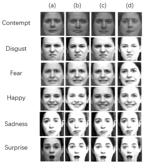 Symmetry | Free Full-Text | The Facial Expression Data Enhancement