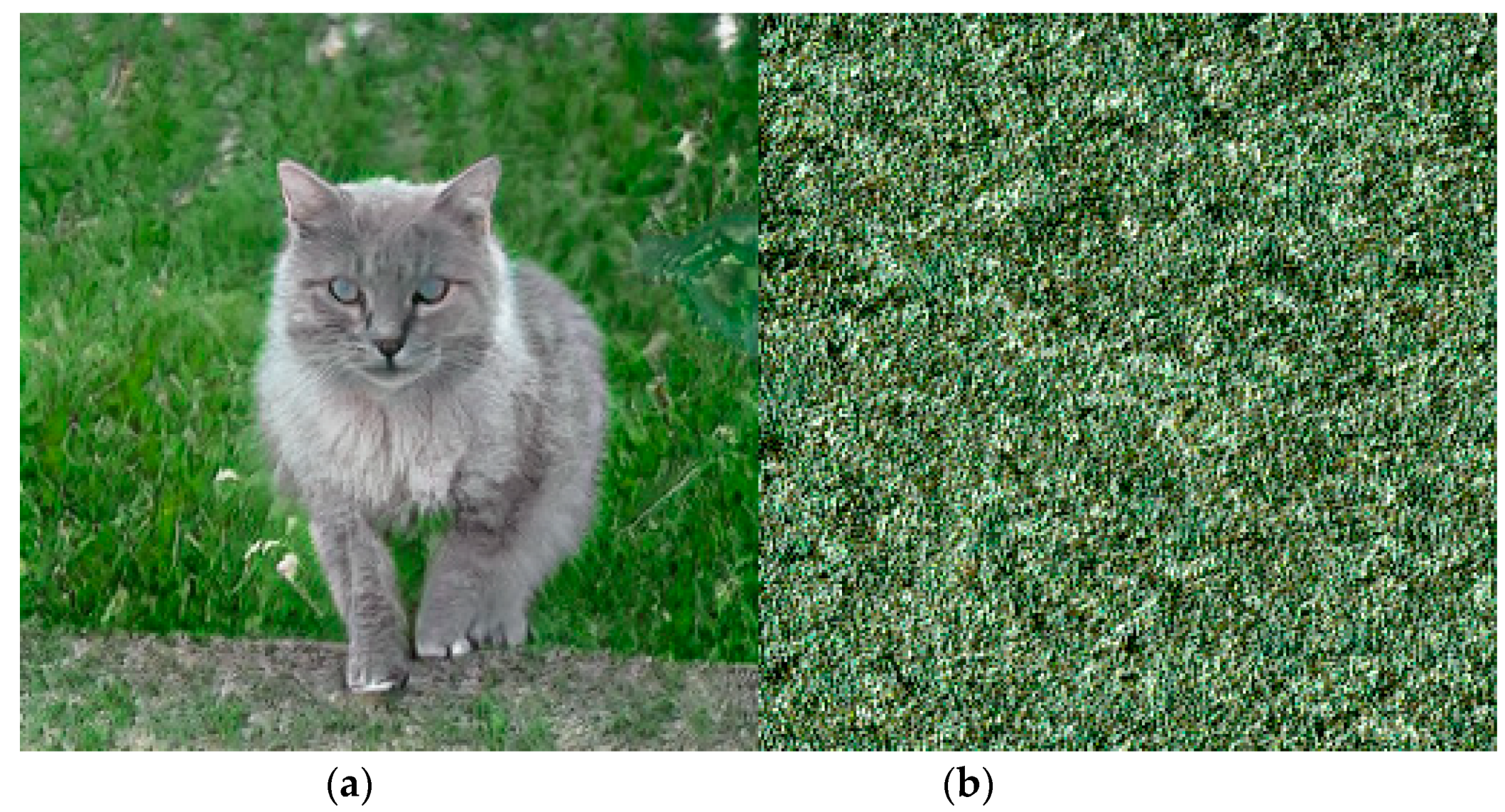 Symmetry 15 00979 g004