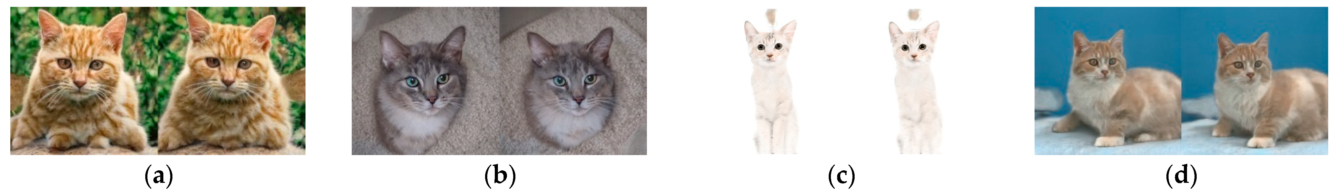 Symmetry 15 00979 g006