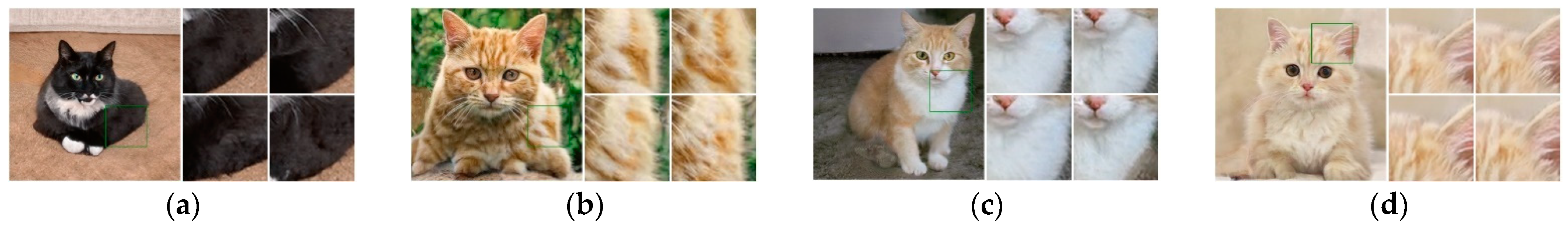 Symmetry 15 00979 g007