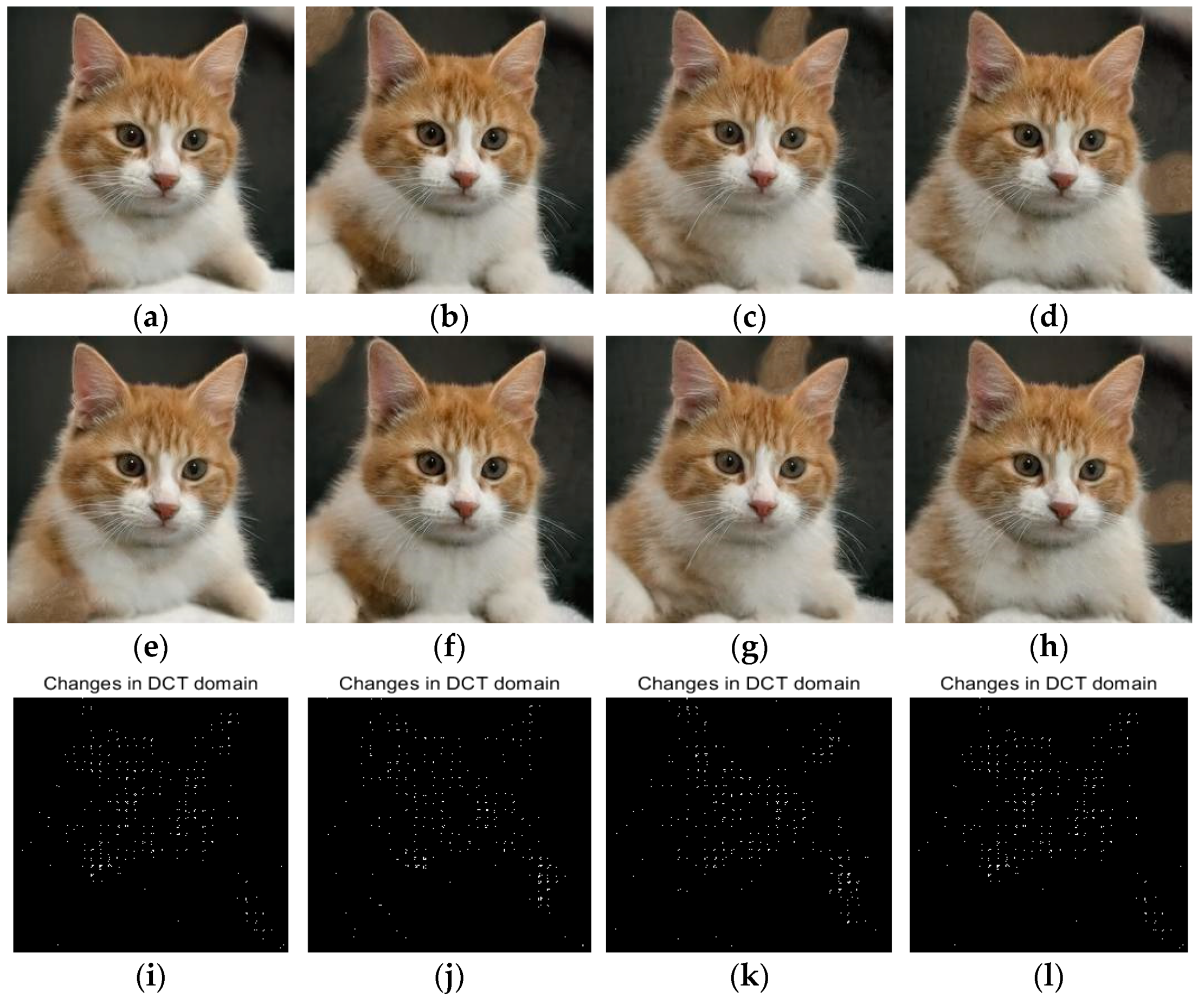 Symmetry 15 00979 g008