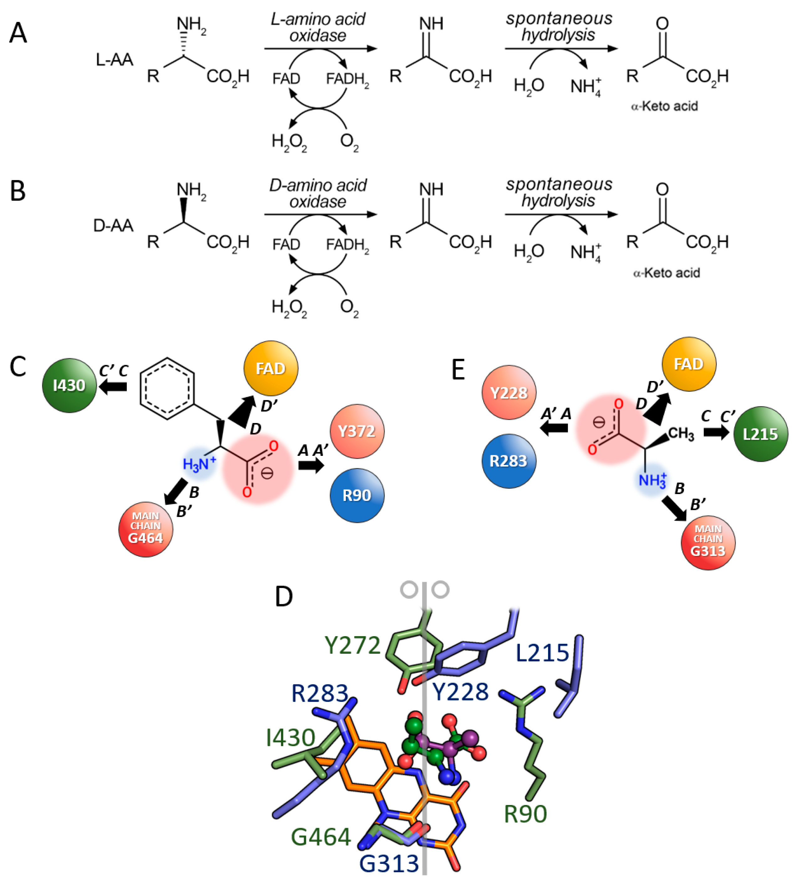 Symmetry 15 01017 g002 Symmetry 15 01017 g002