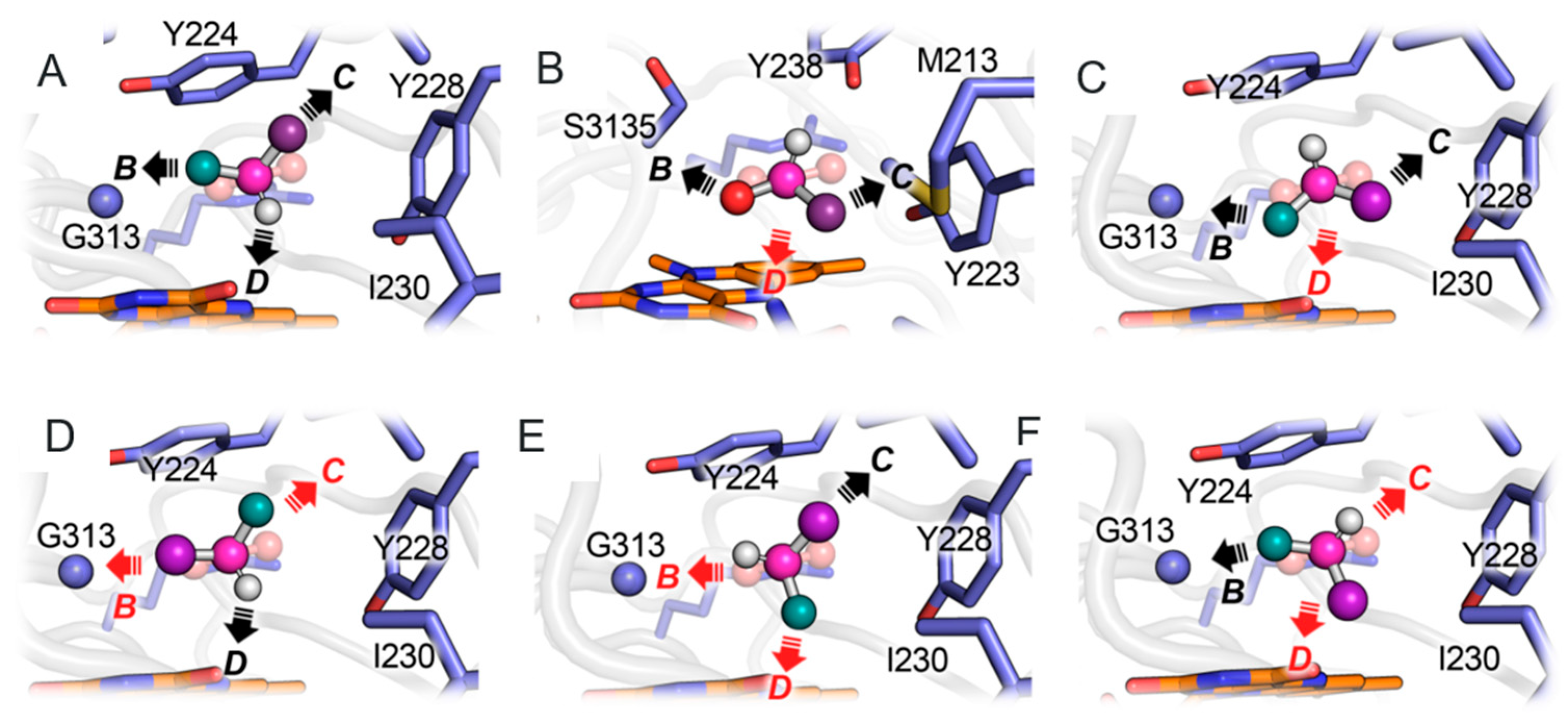 Symmetry 15 01017 g003 Symmetry 15 01017 g003
