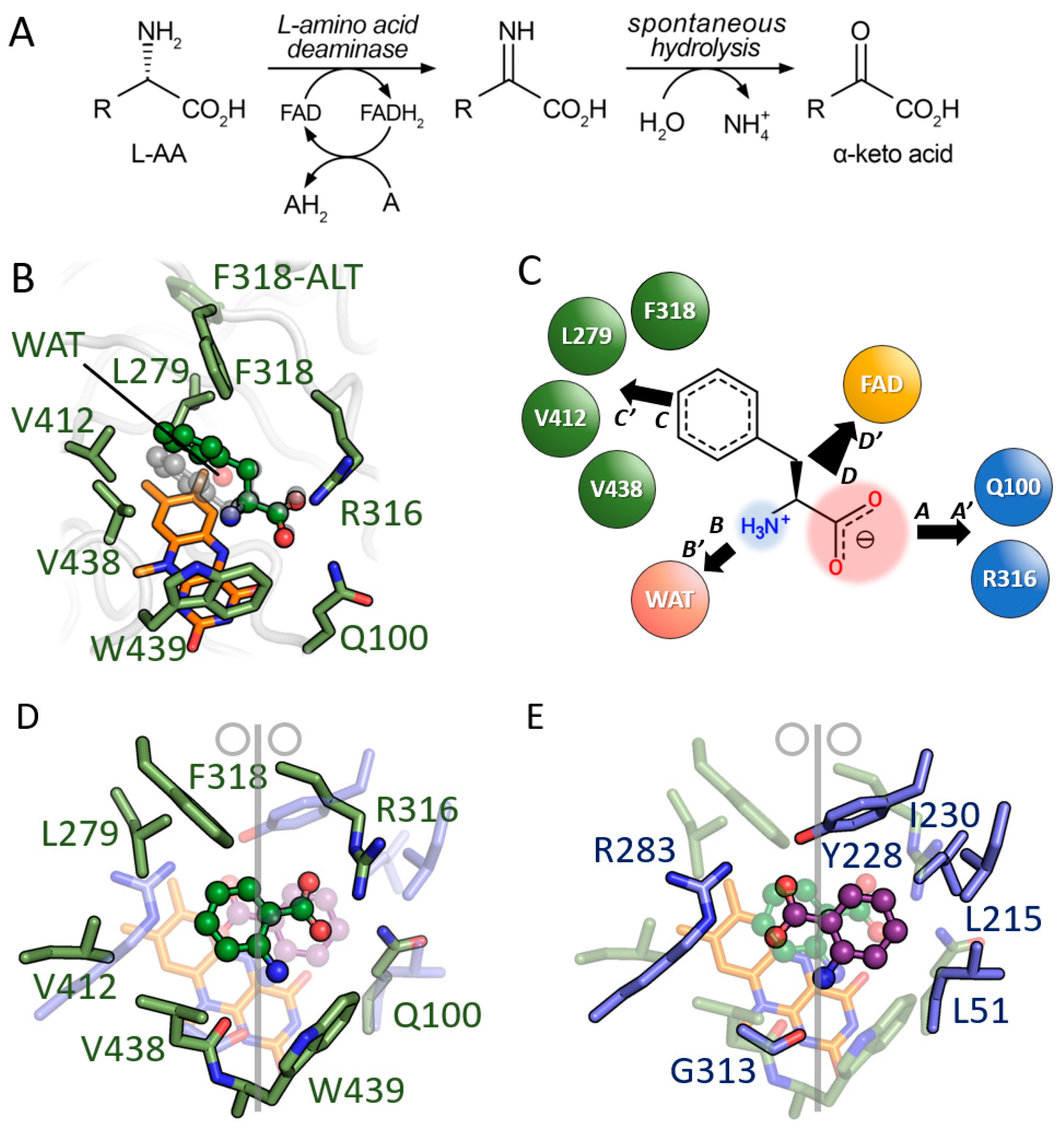 Symmetry 15 01017 g004 Symmetry 15 01017 g004