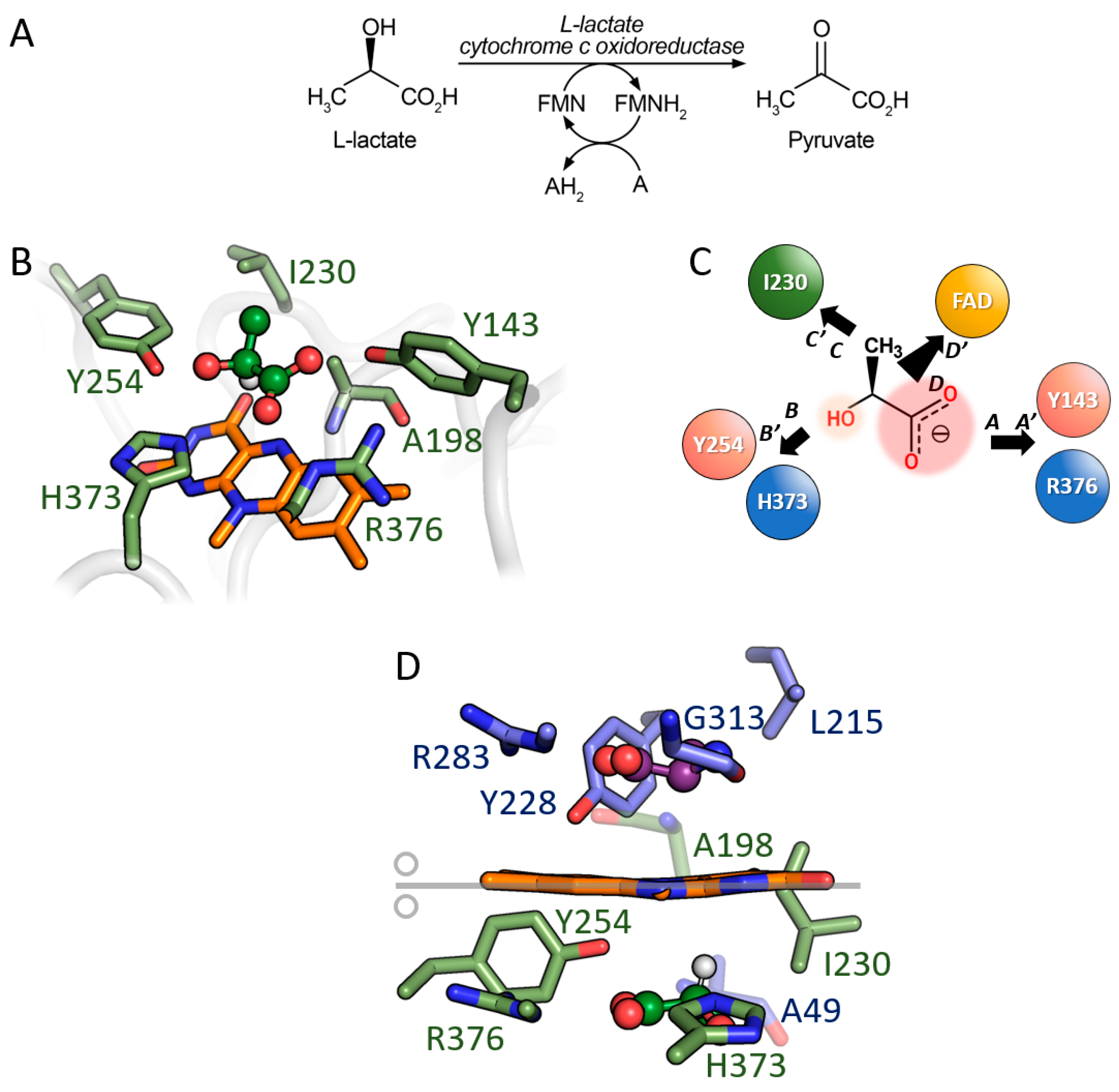 Symmetry 15 01017 g005 Symmetry 15 01017 g005