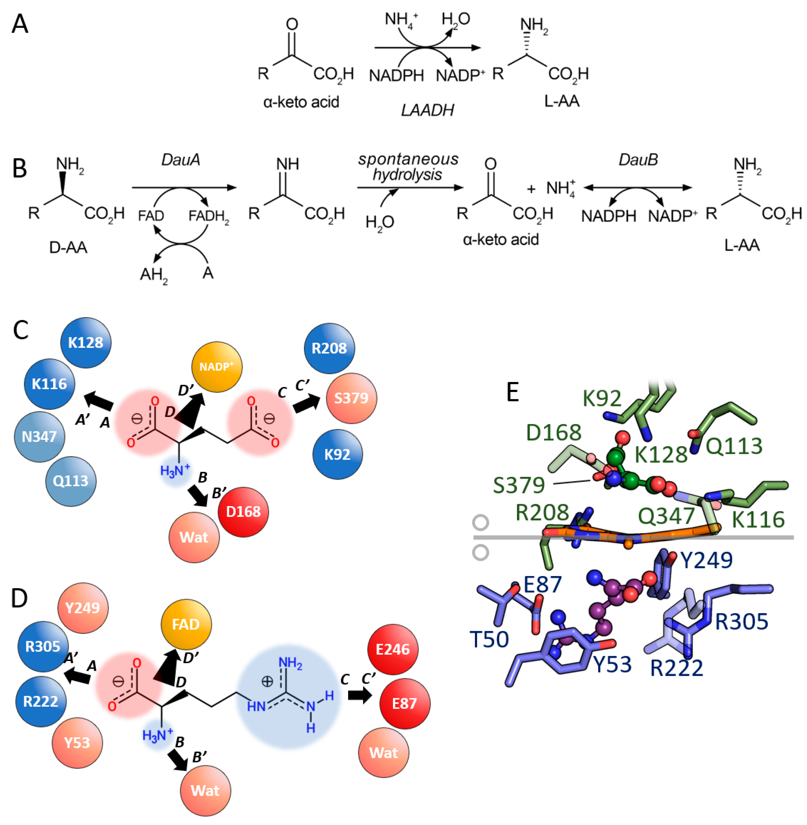 Symmetry 15 01017 g006 Symmetry 15 01017 g006