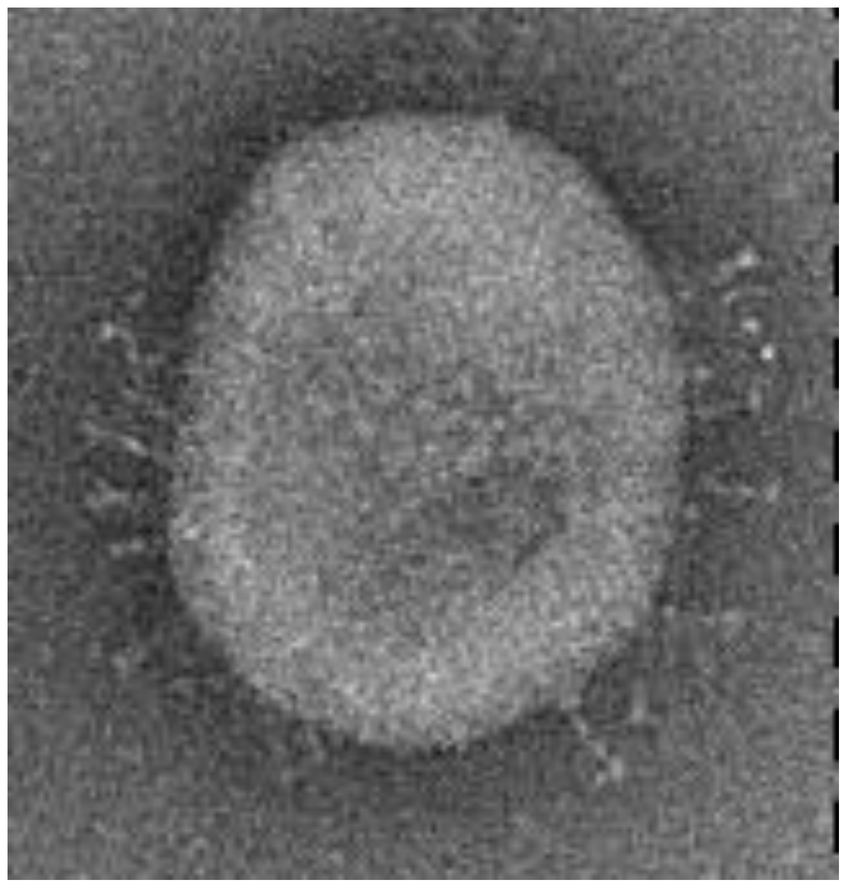 Symmetry 15 01330 g002 Symmetry 15 01330 g002