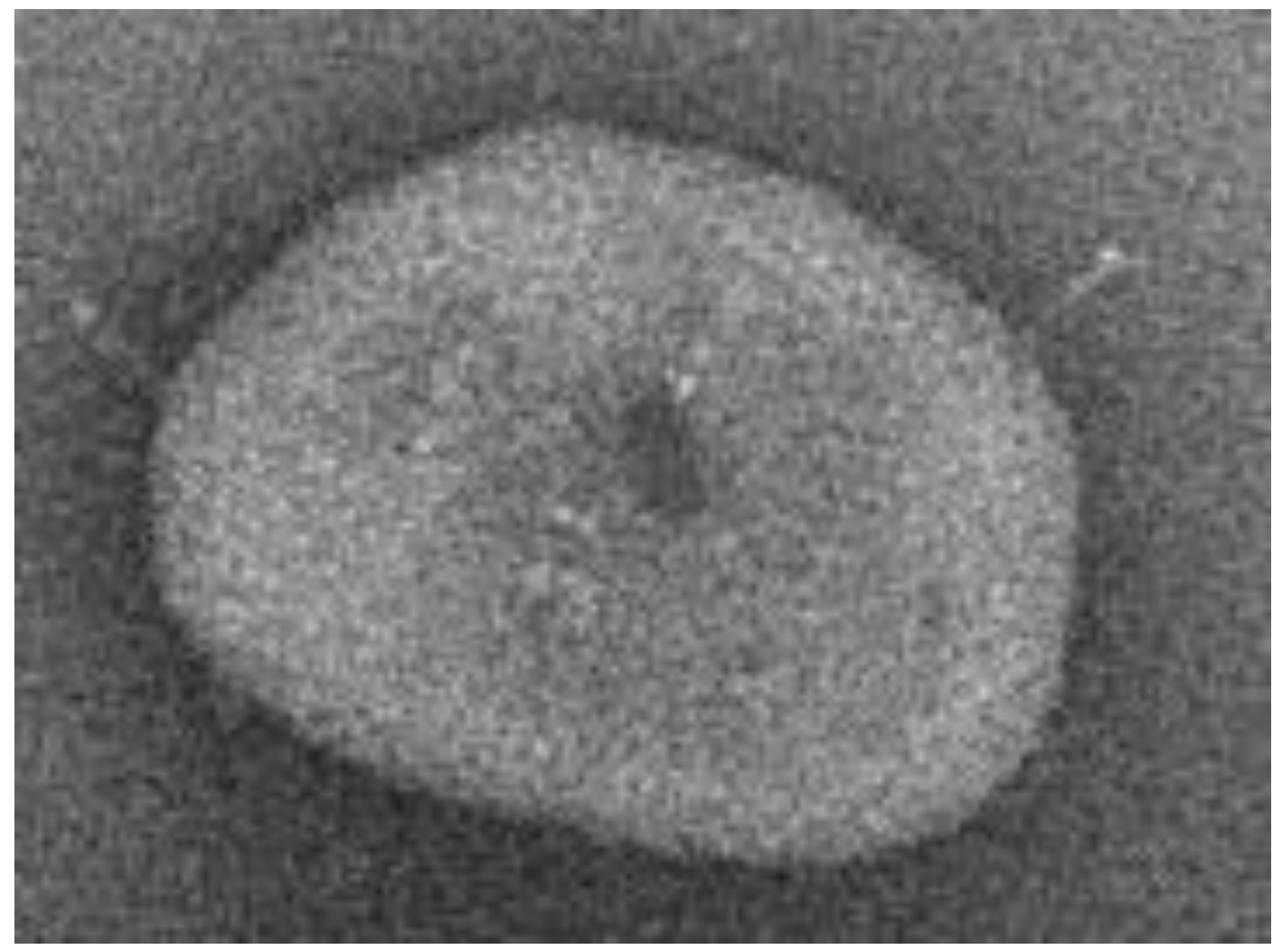 Symmetry 15 01330 g003 Symmetry 15 01330 g003