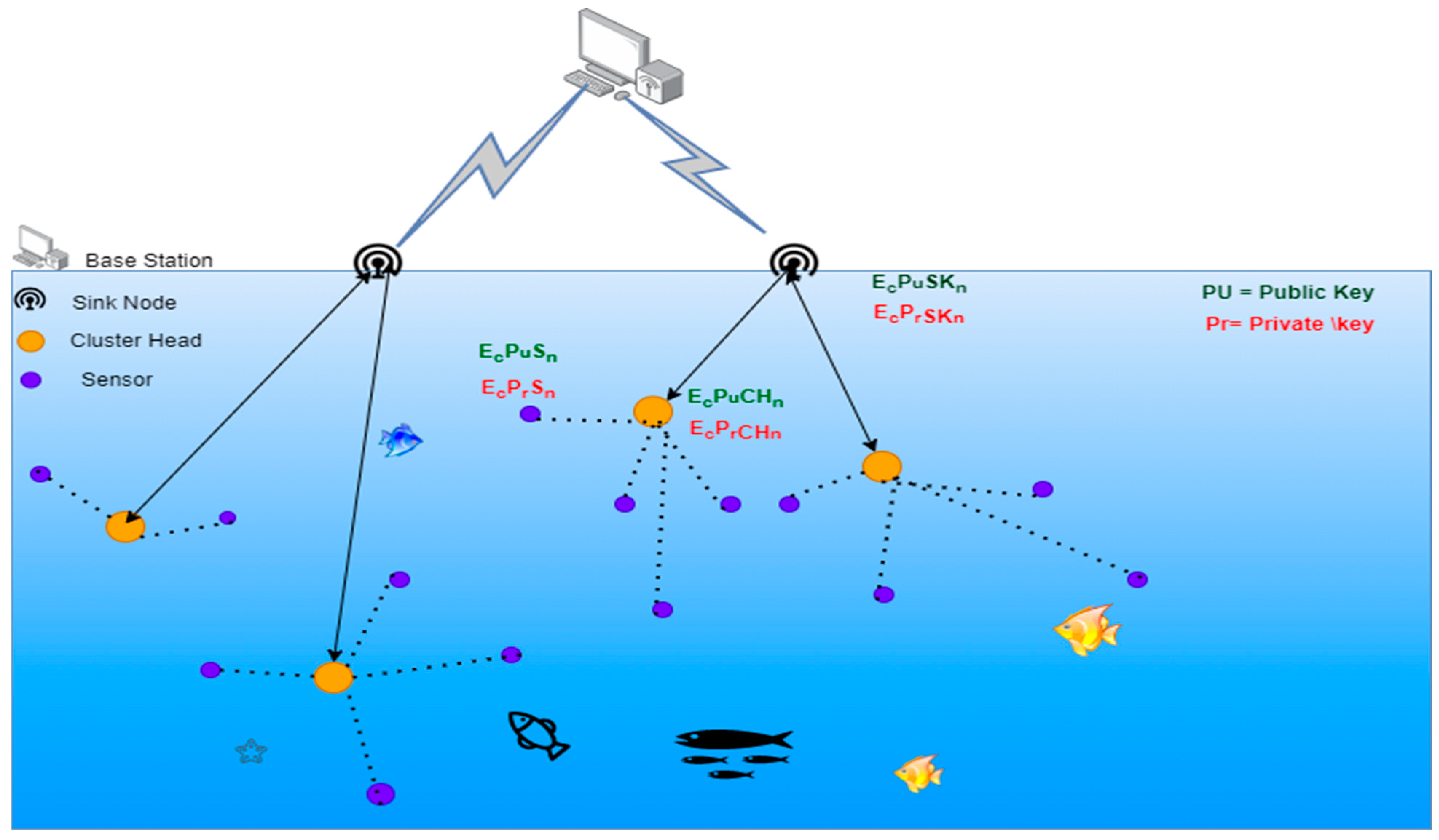 Symmetry 15 01484 g003