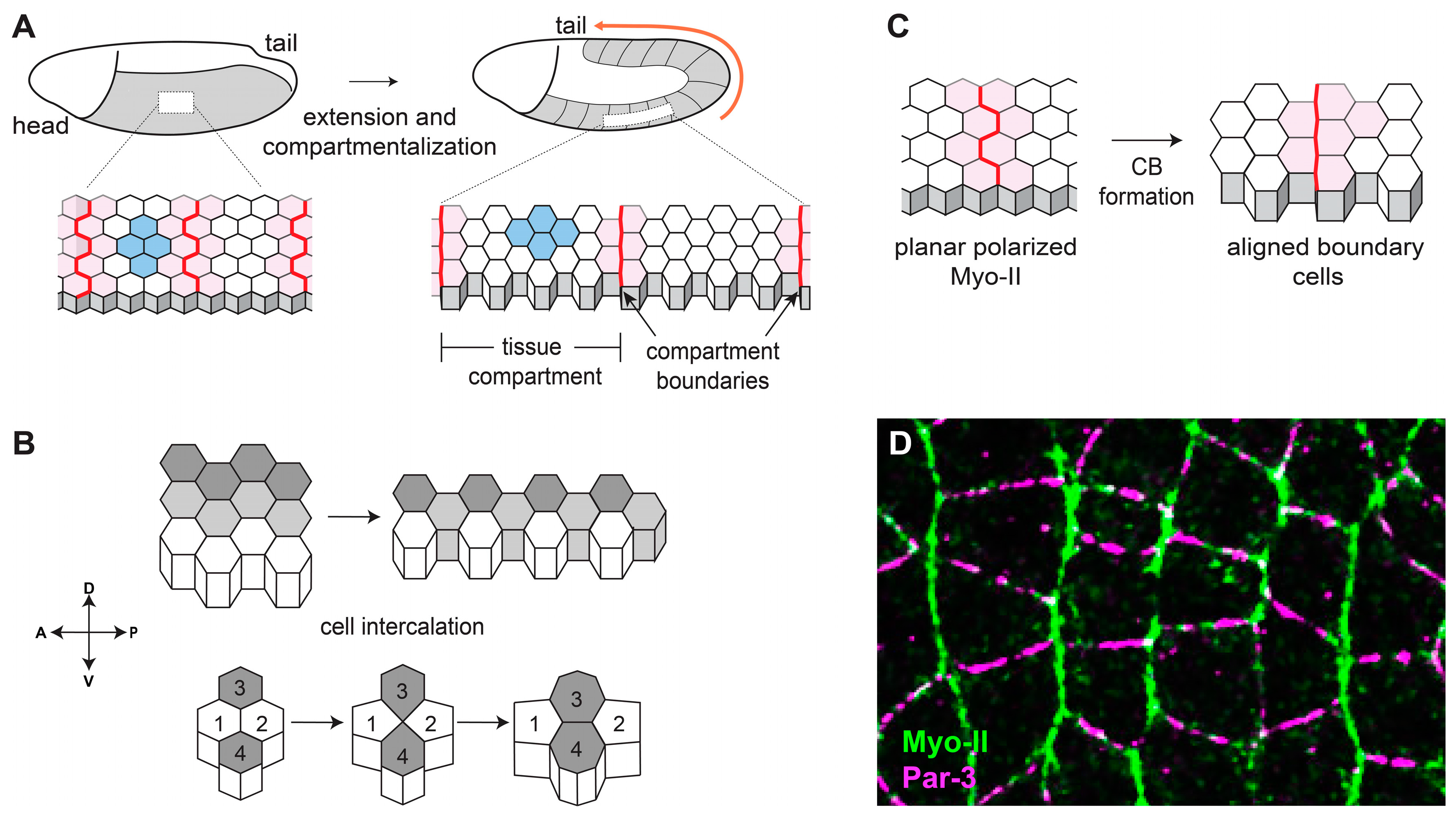 Symmetry 15 01490 g001 Symmetry 15 01490 g001