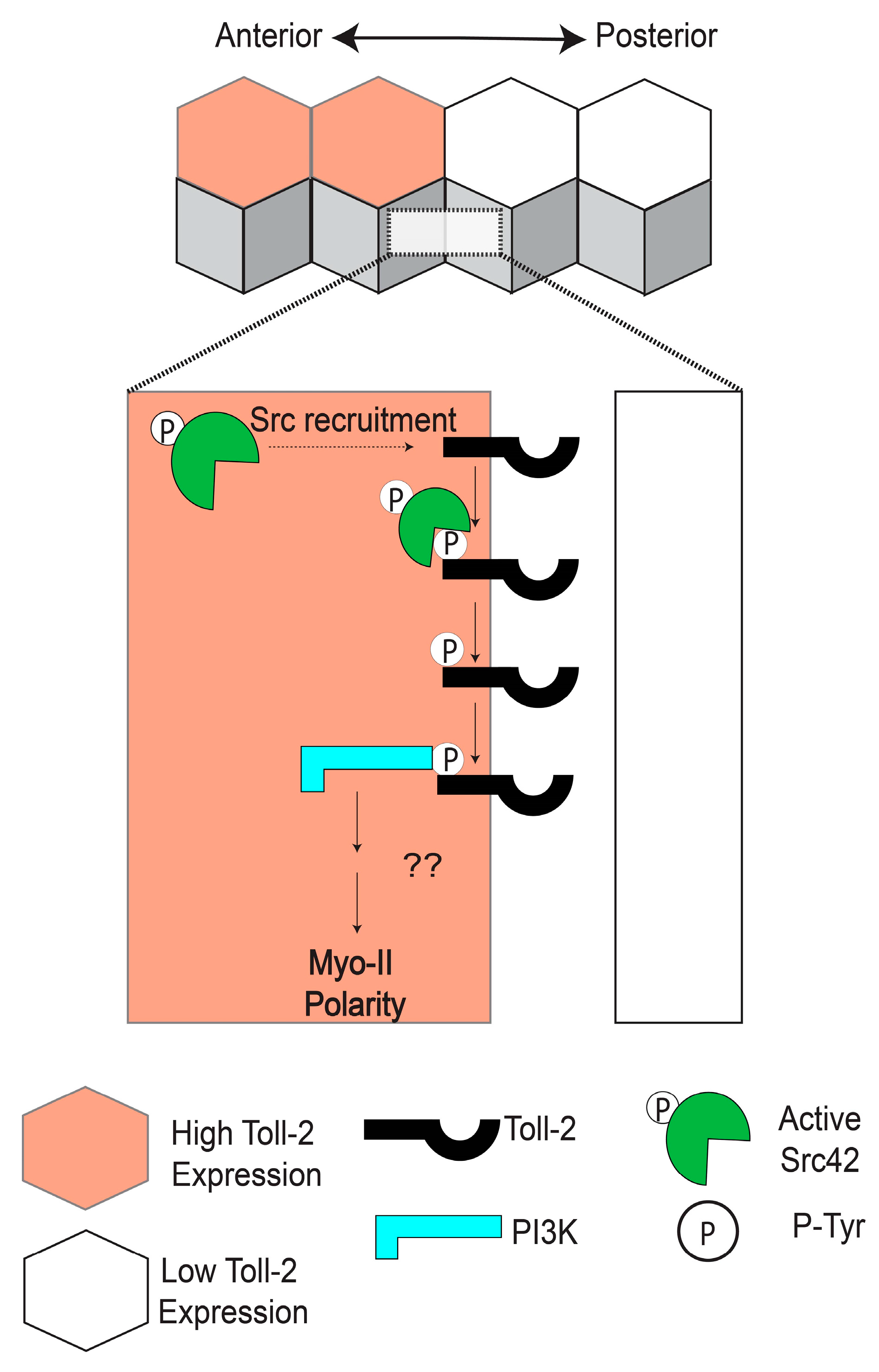 Symmetry 15 01490 g003 Symmetry 15 01490 g003