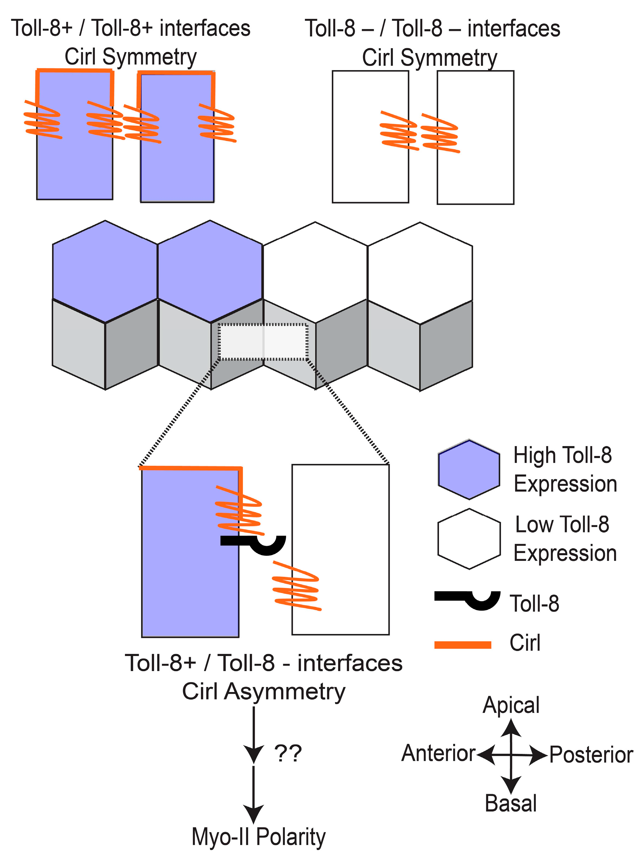 Symmetry 15 01490 g004 Symmetry 15 01490 g004
