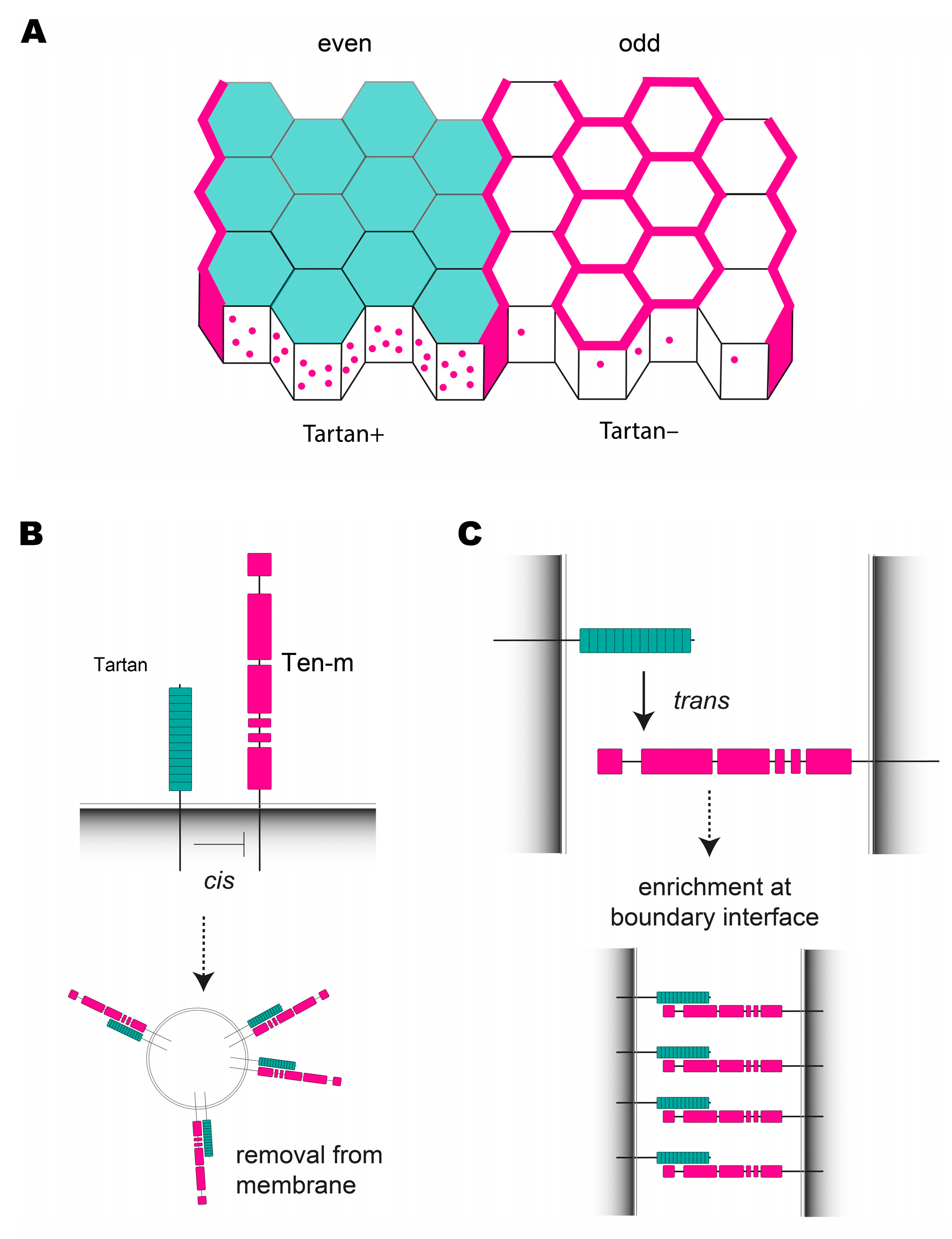 Symmetry 15 01490 g005 Symmetry 15 01490 g005