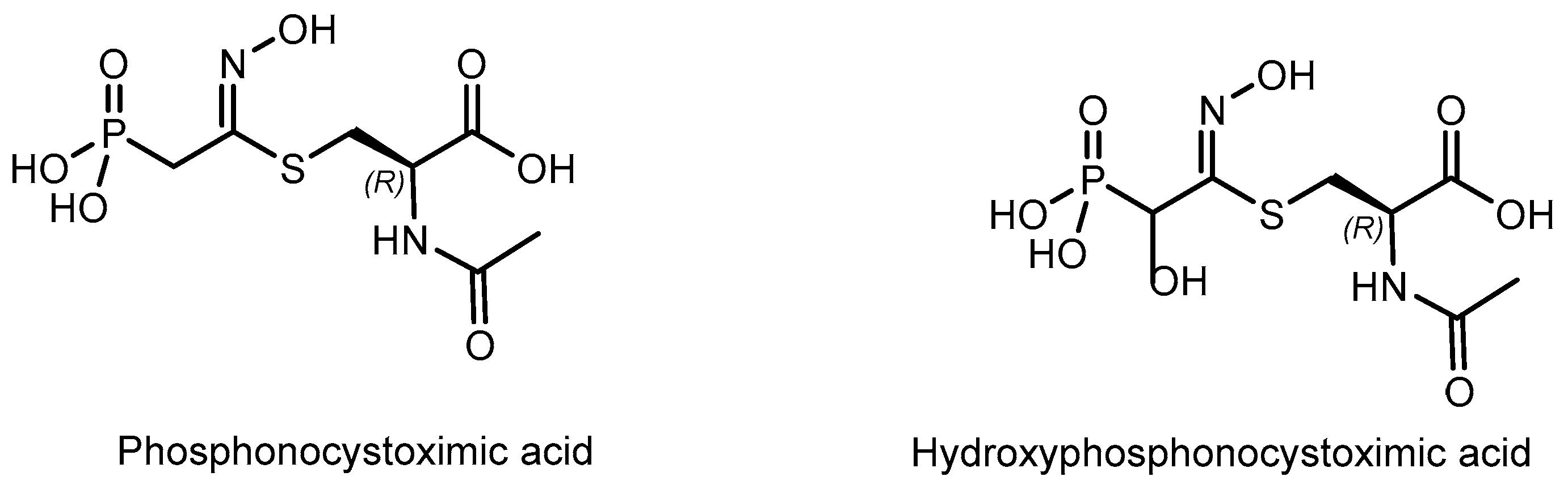 Symmetry 15 01550 g004 Symmetry 15 01550 g004