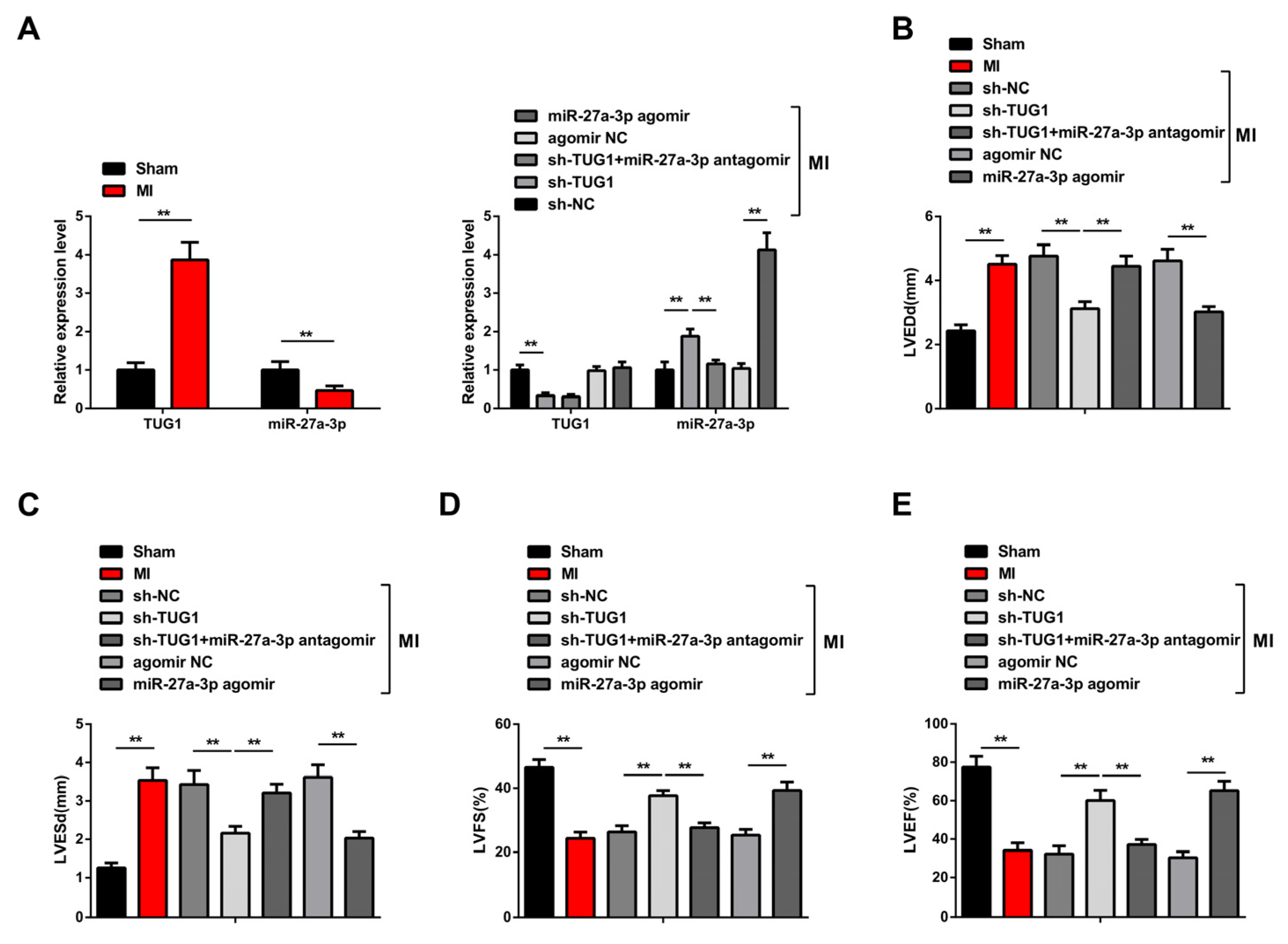Symmetry 15 01678 g006