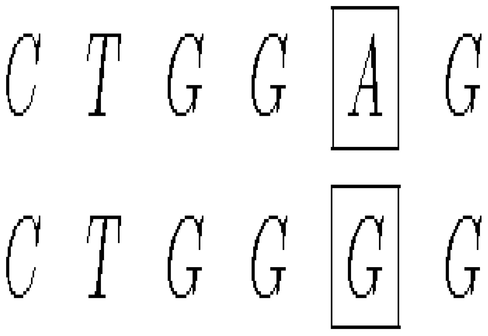 Symmetry 15 01741 g006