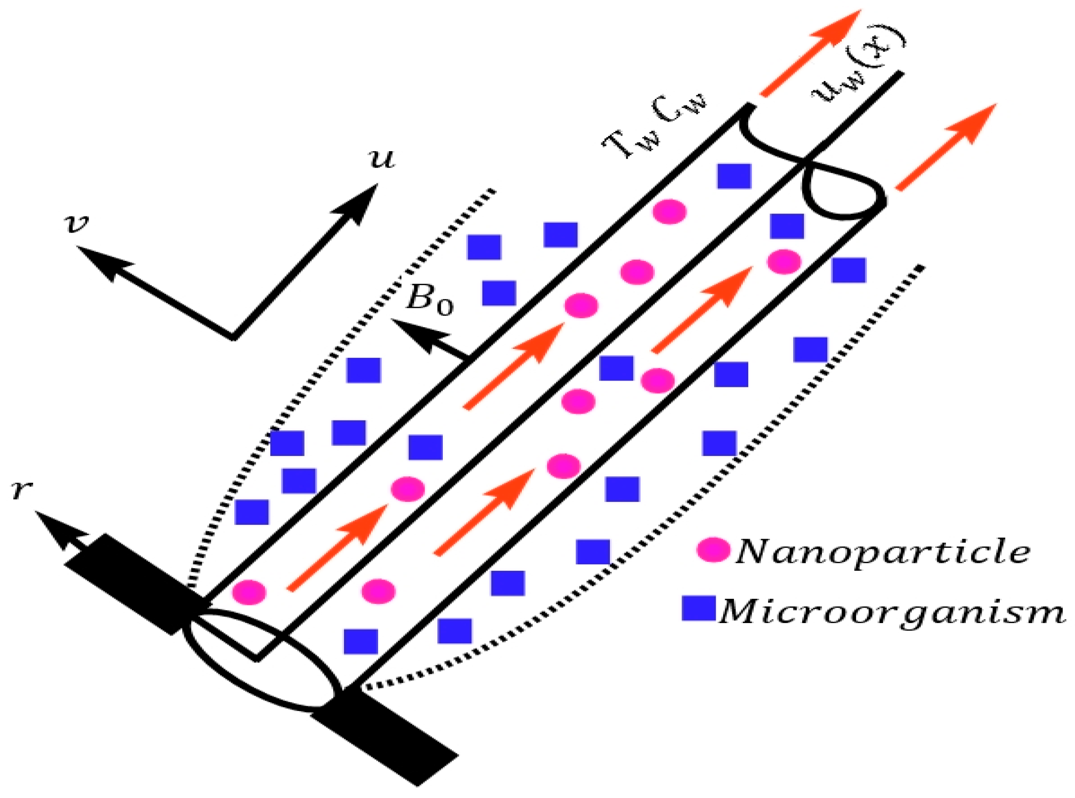Symmetry 15 01811 g001