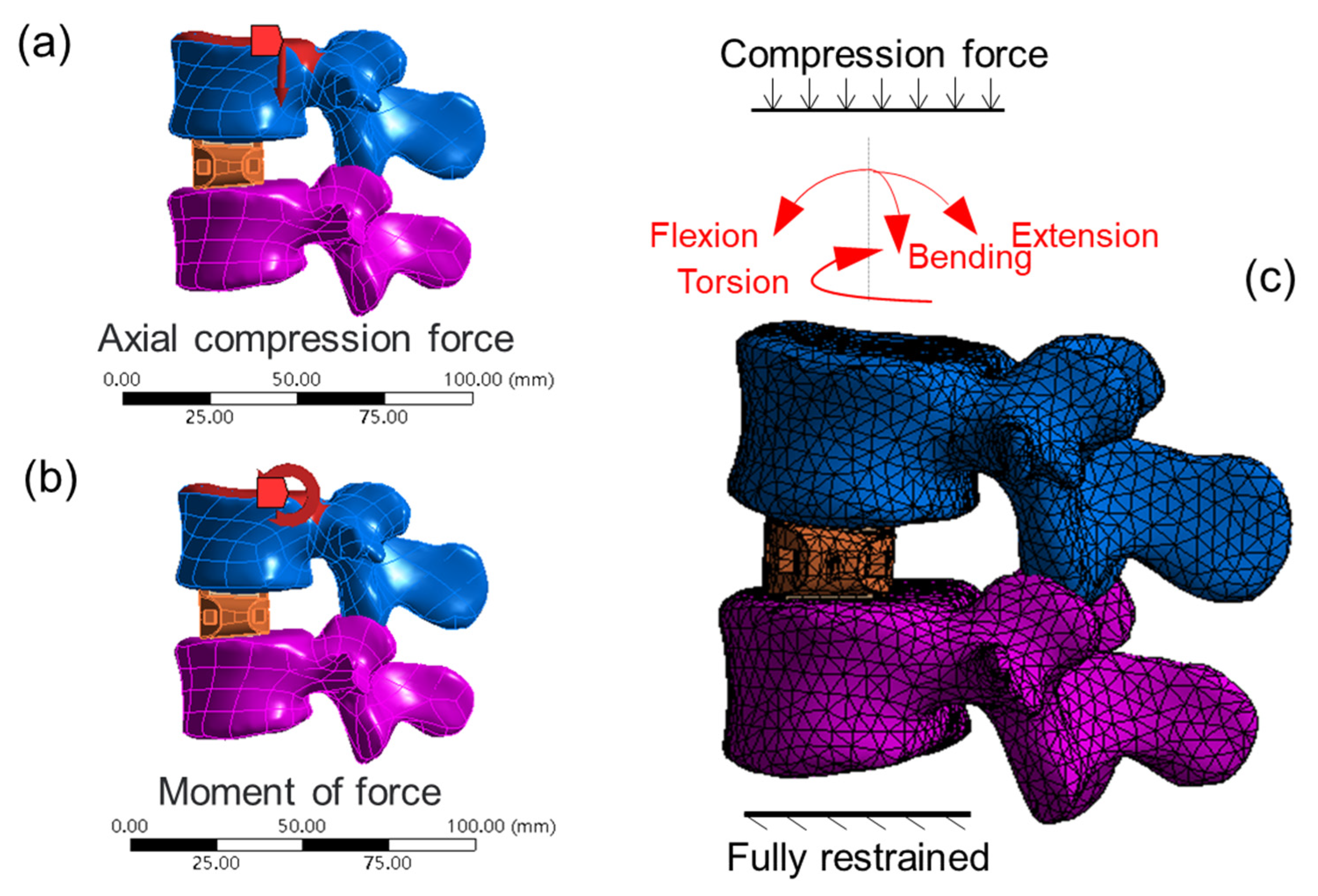 Symmetry 15 01938 g003