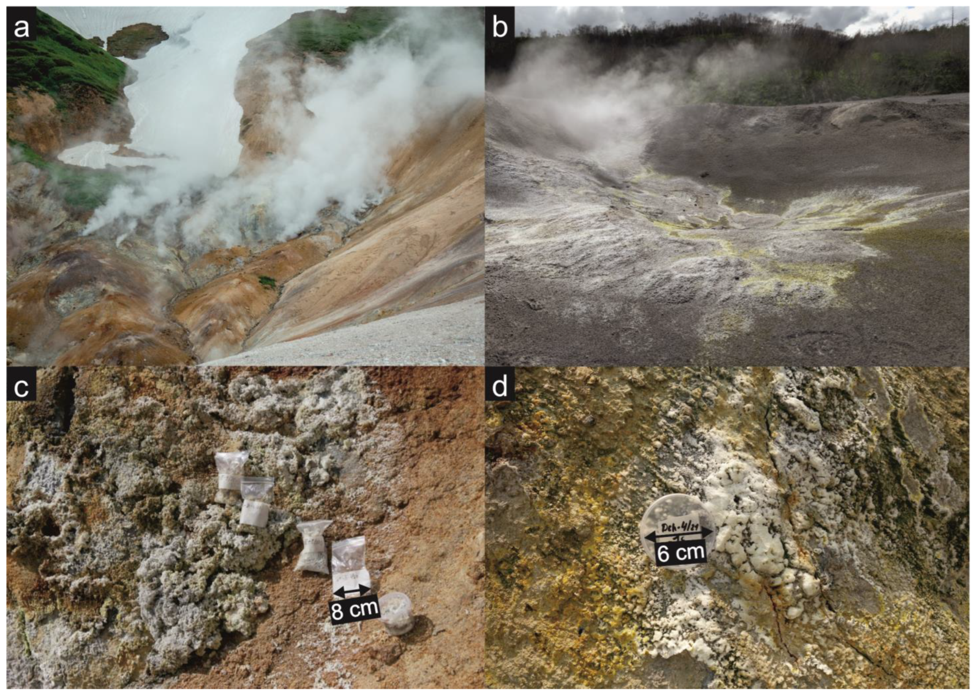 Symmetry 15 02126 g002