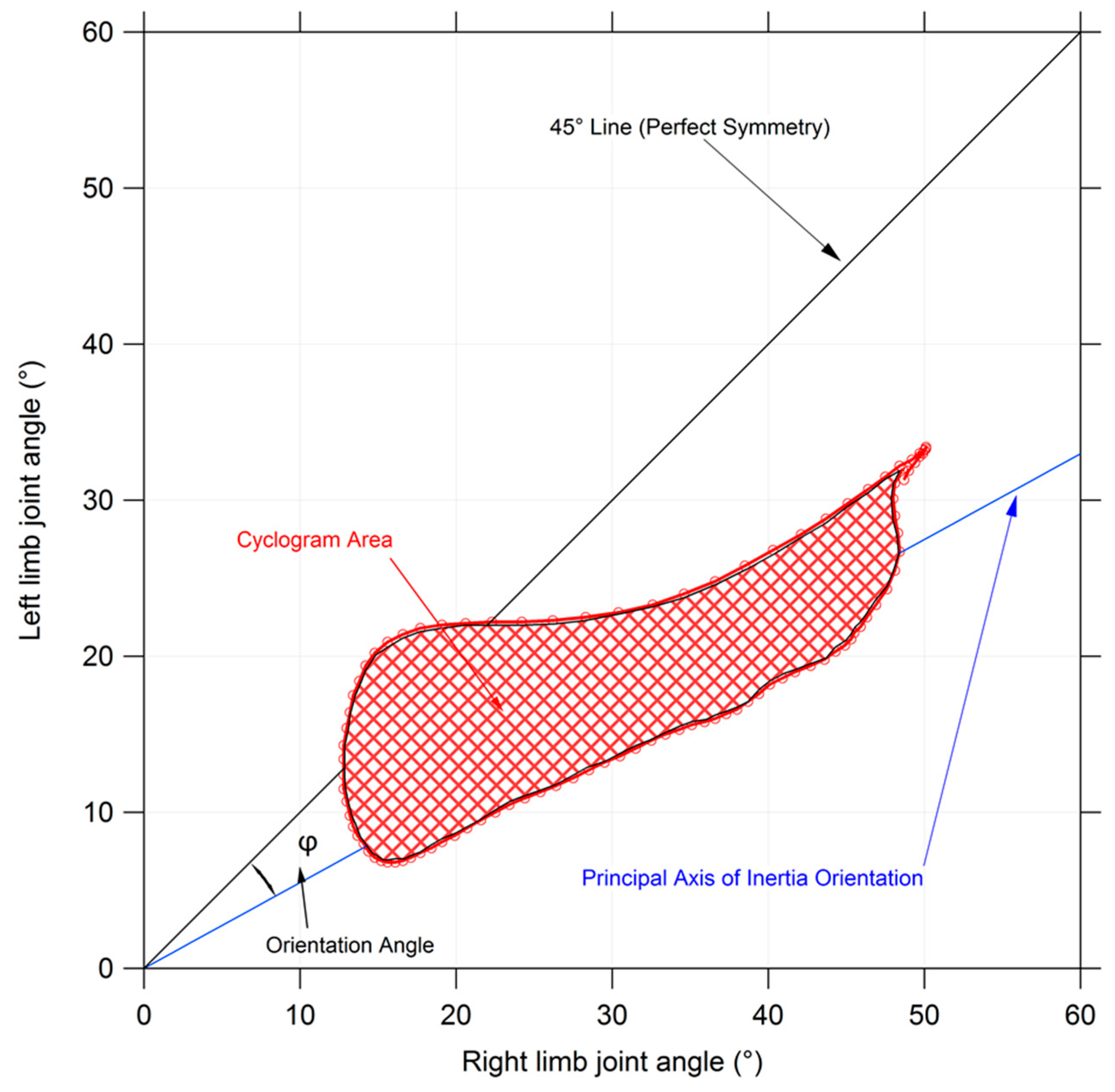 Symmetry 15 02200 g002