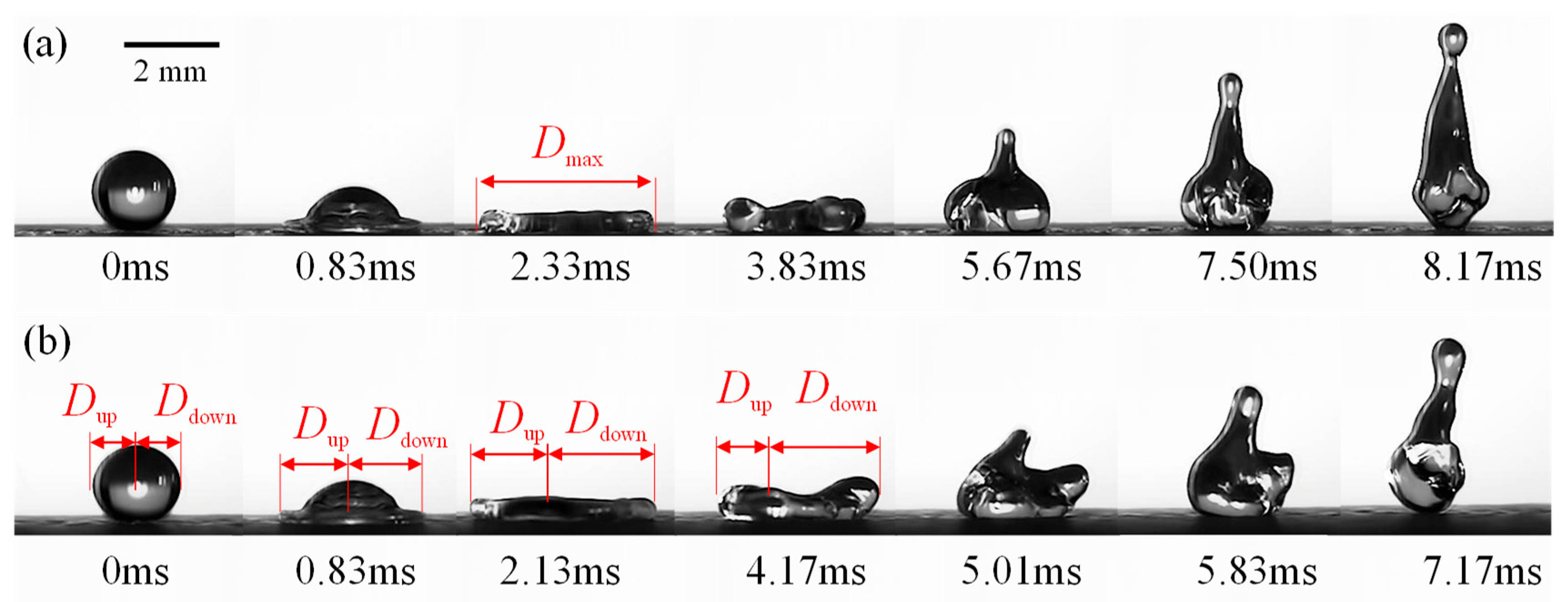 Symmetry 16 00029 g002