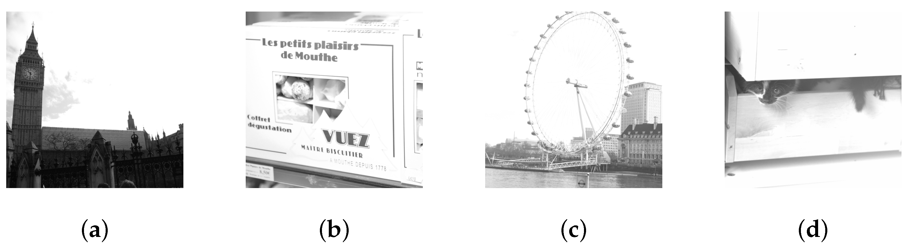 Symmetry 16 00045 g001