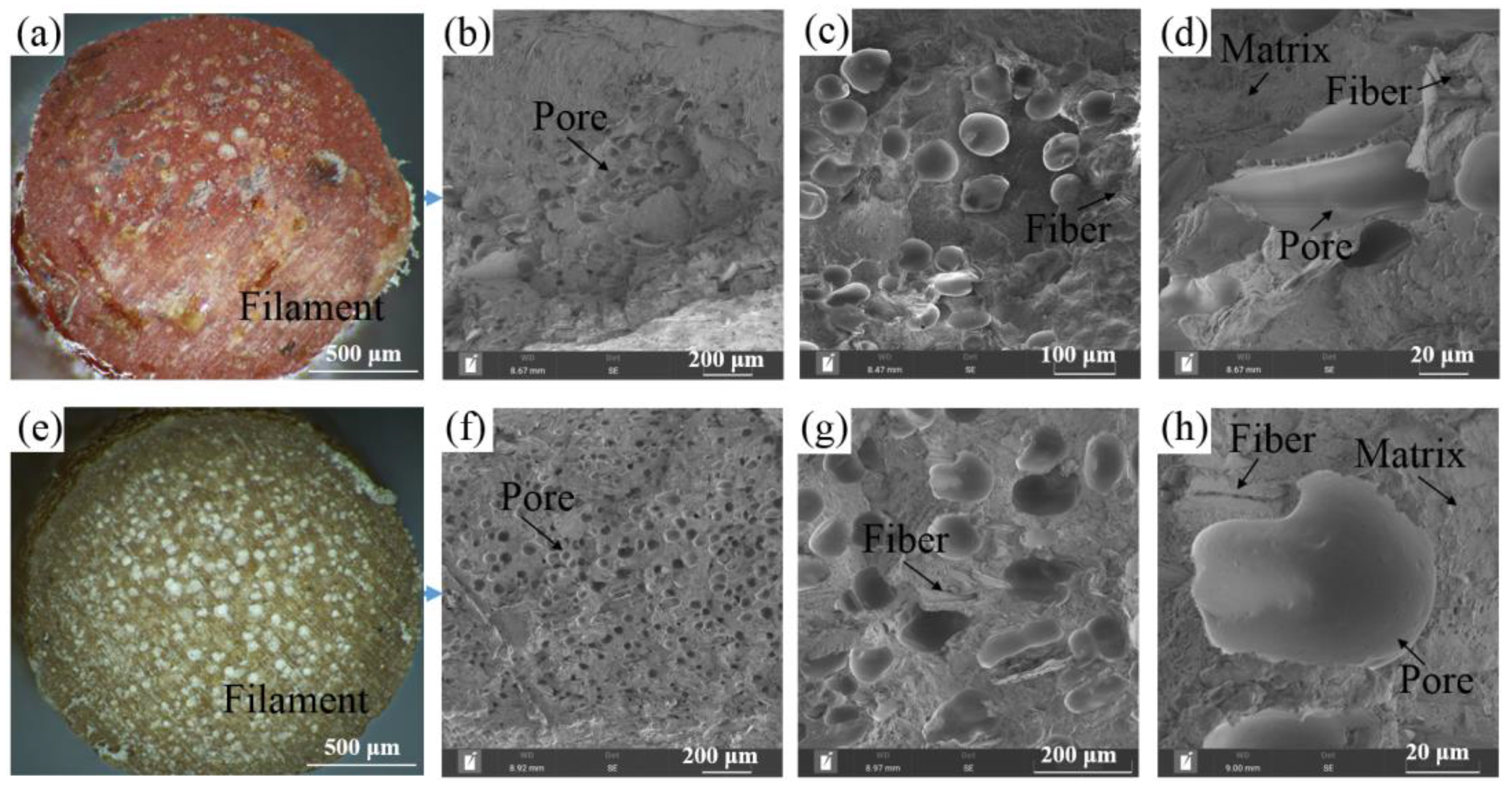 Symmetry 16 00070 g002