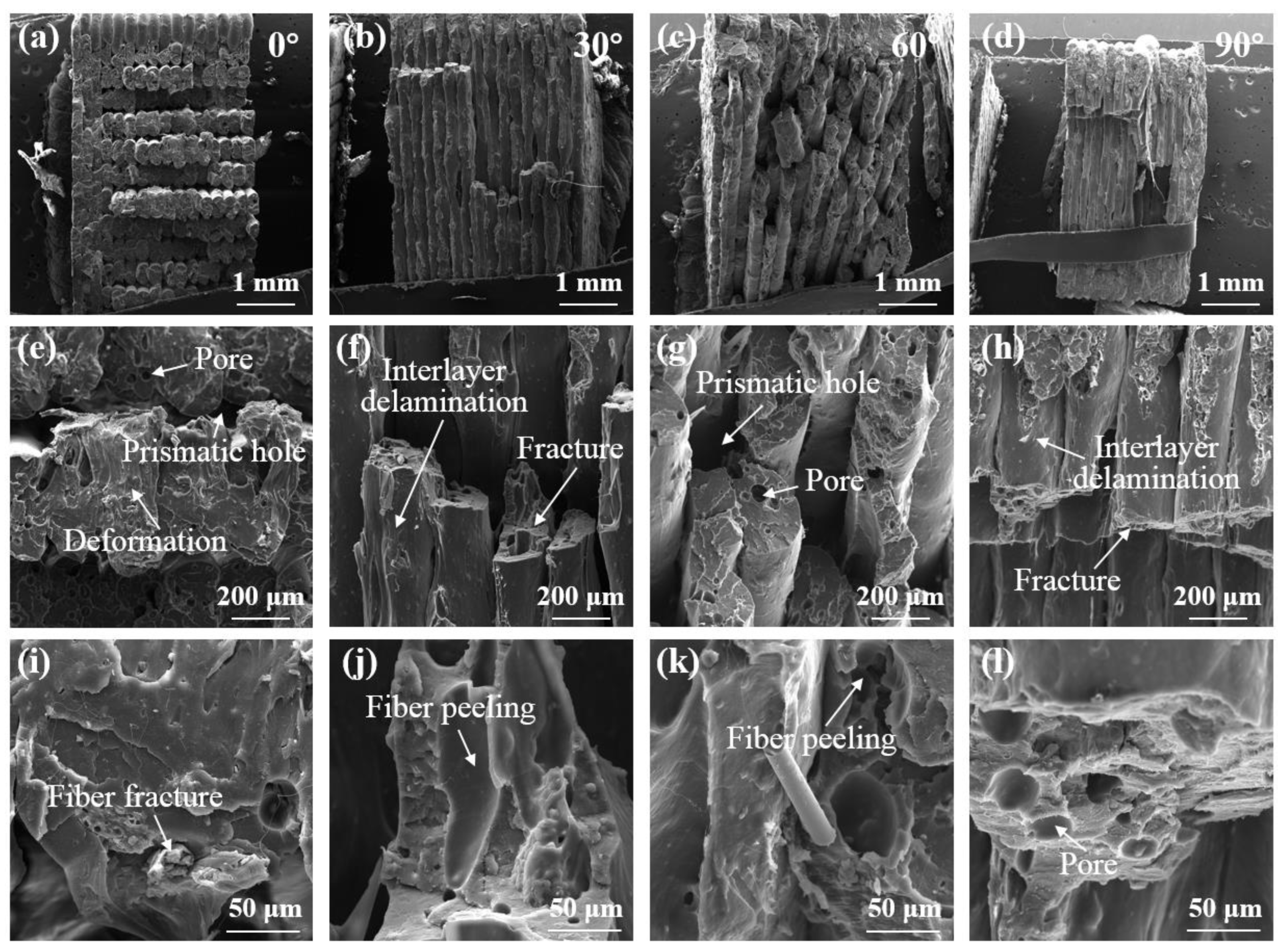 Symmetry 16 00070 g010