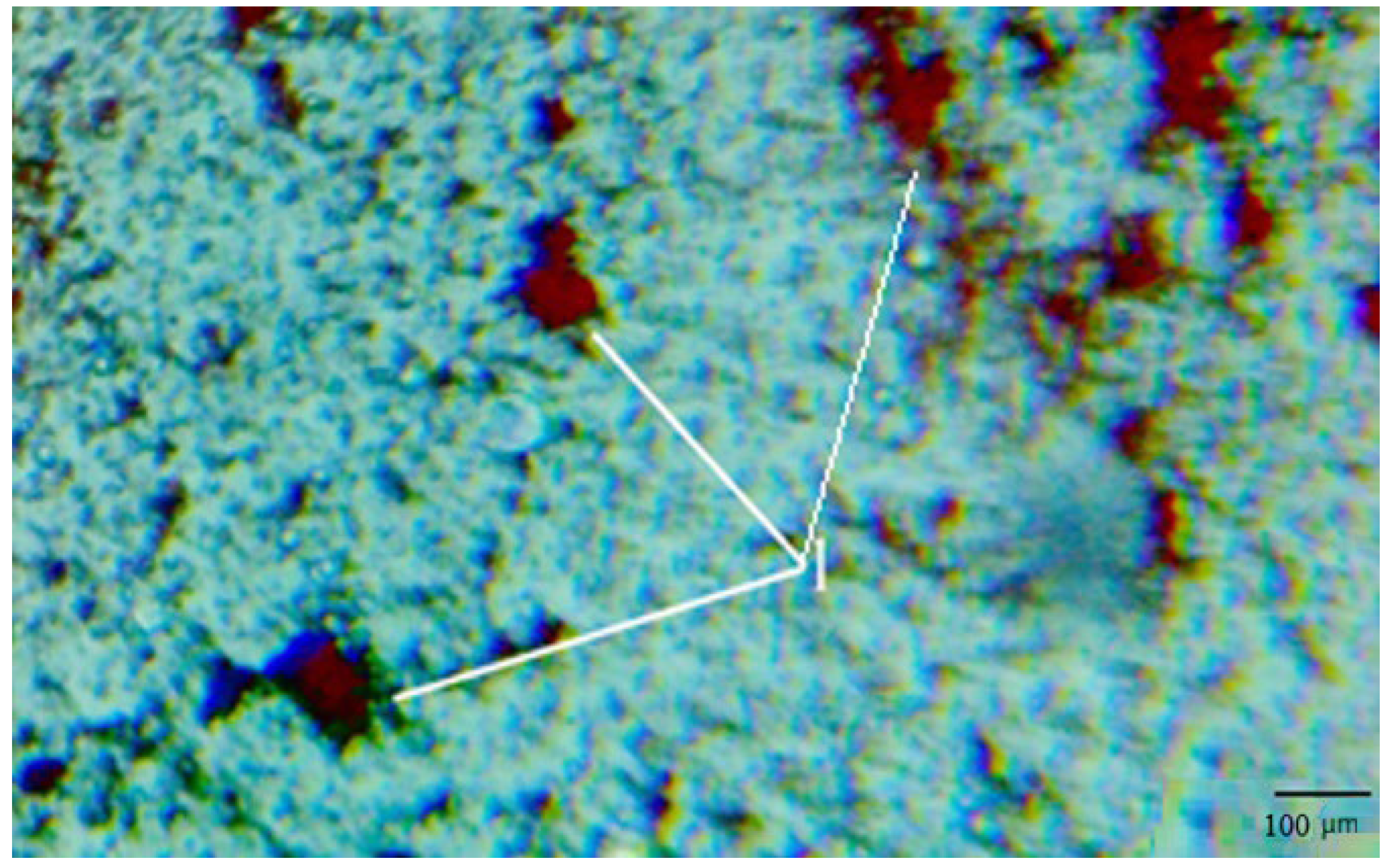 Symmetry 16 00114 g006