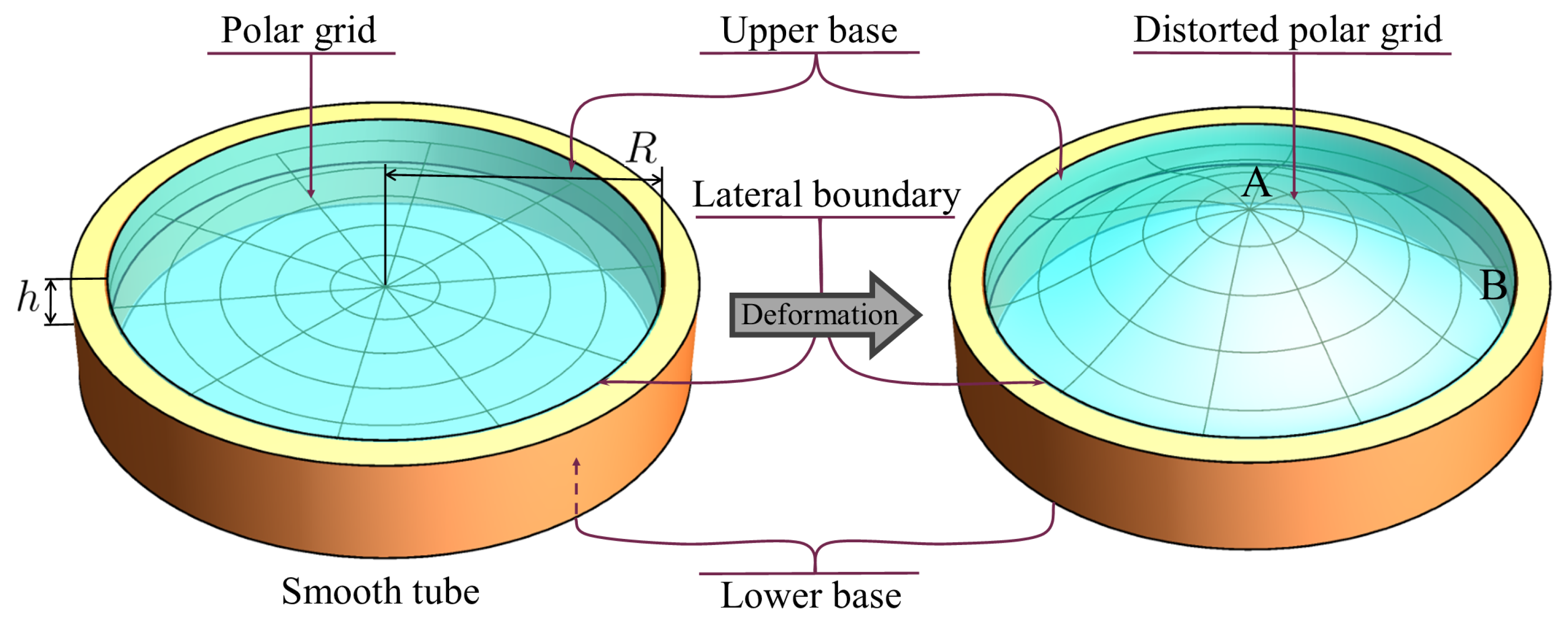 Symmetry 16 00137 g005