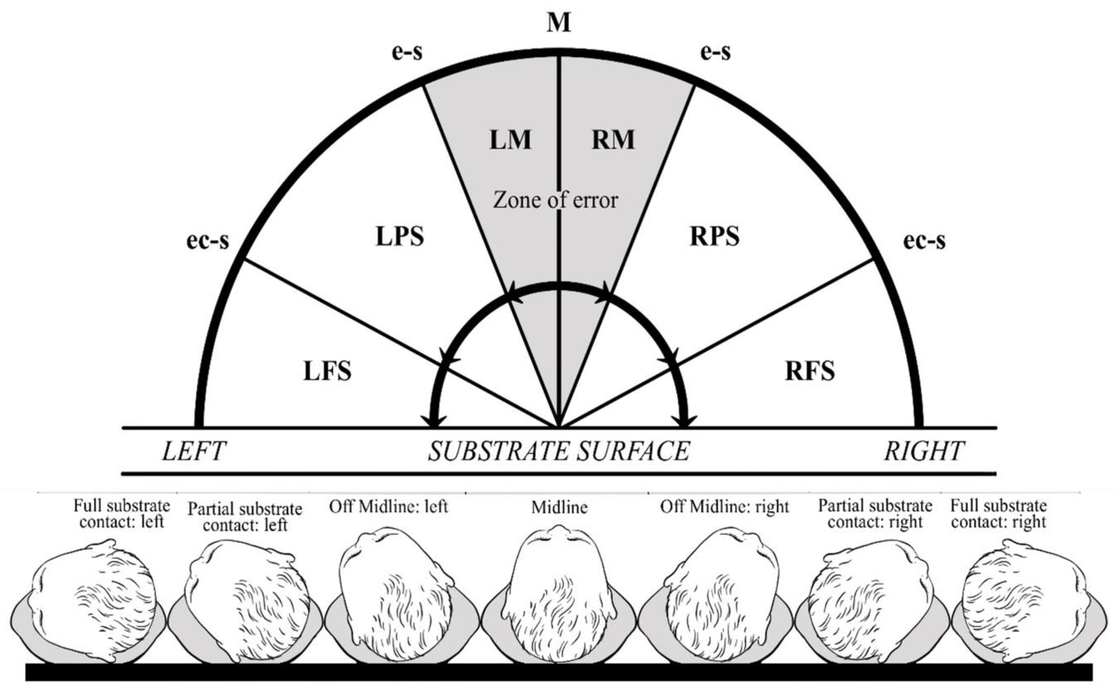 Symmetry 16 00161 g001