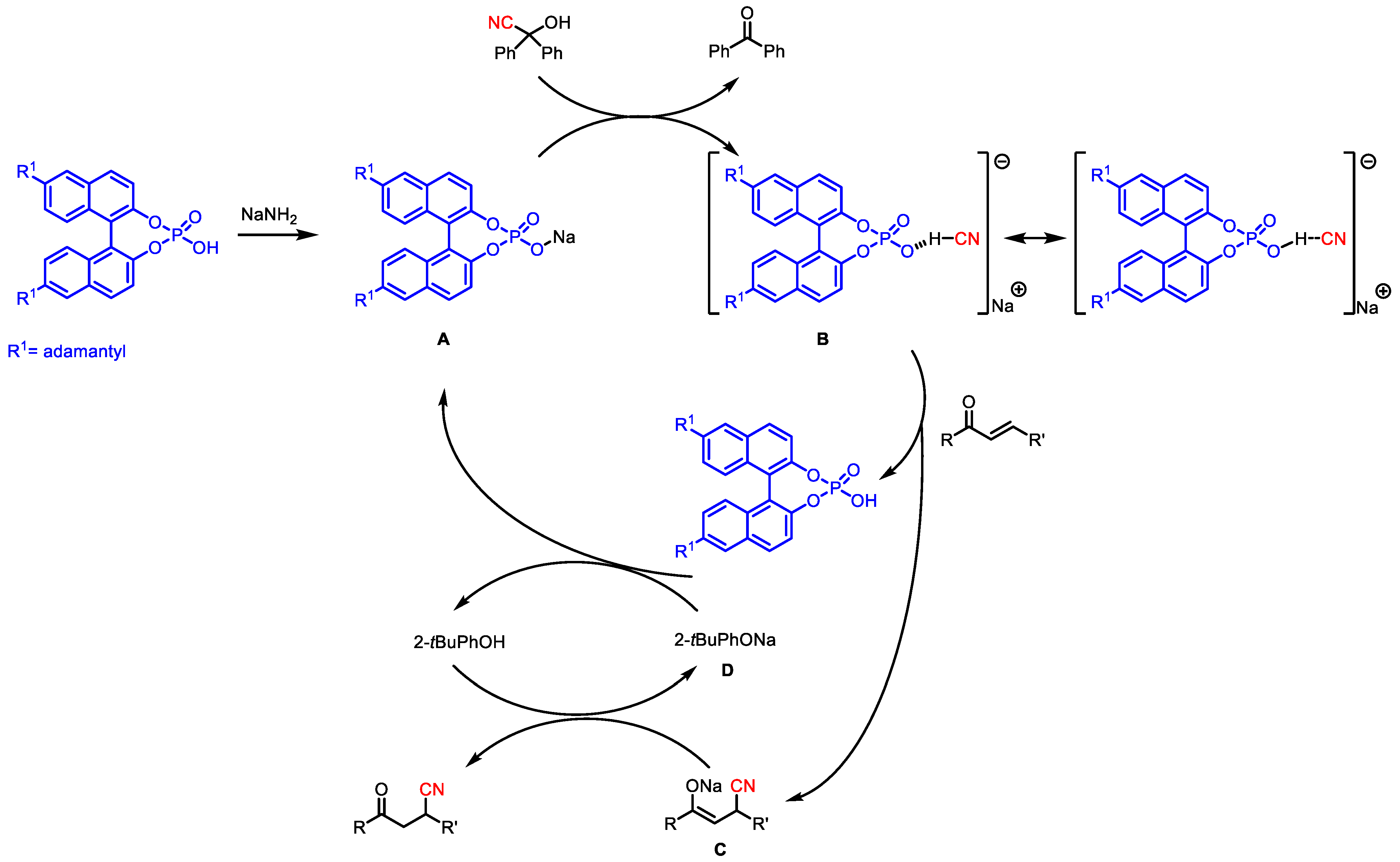 Symmetry 16 00199 g004