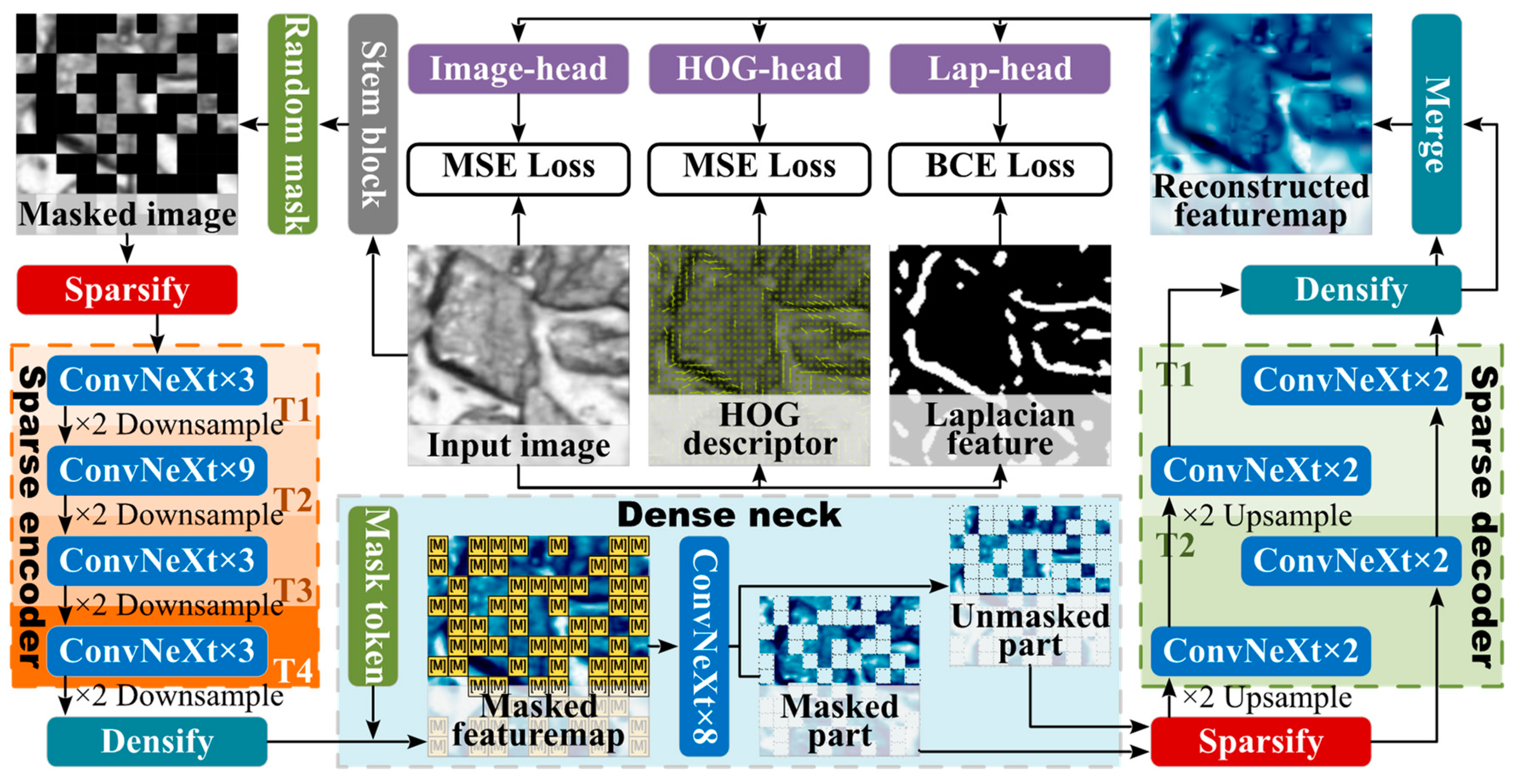 Symmetry 16 00222 g007